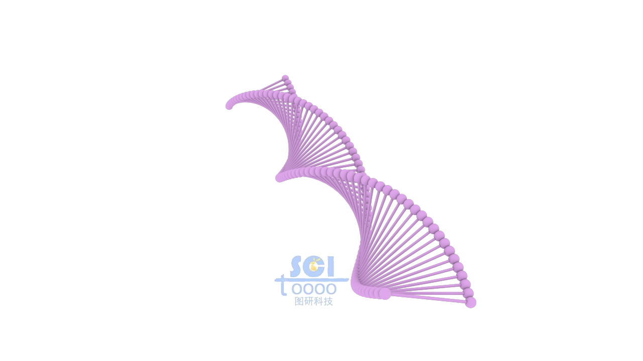 DNA結(jié)構(gòu)