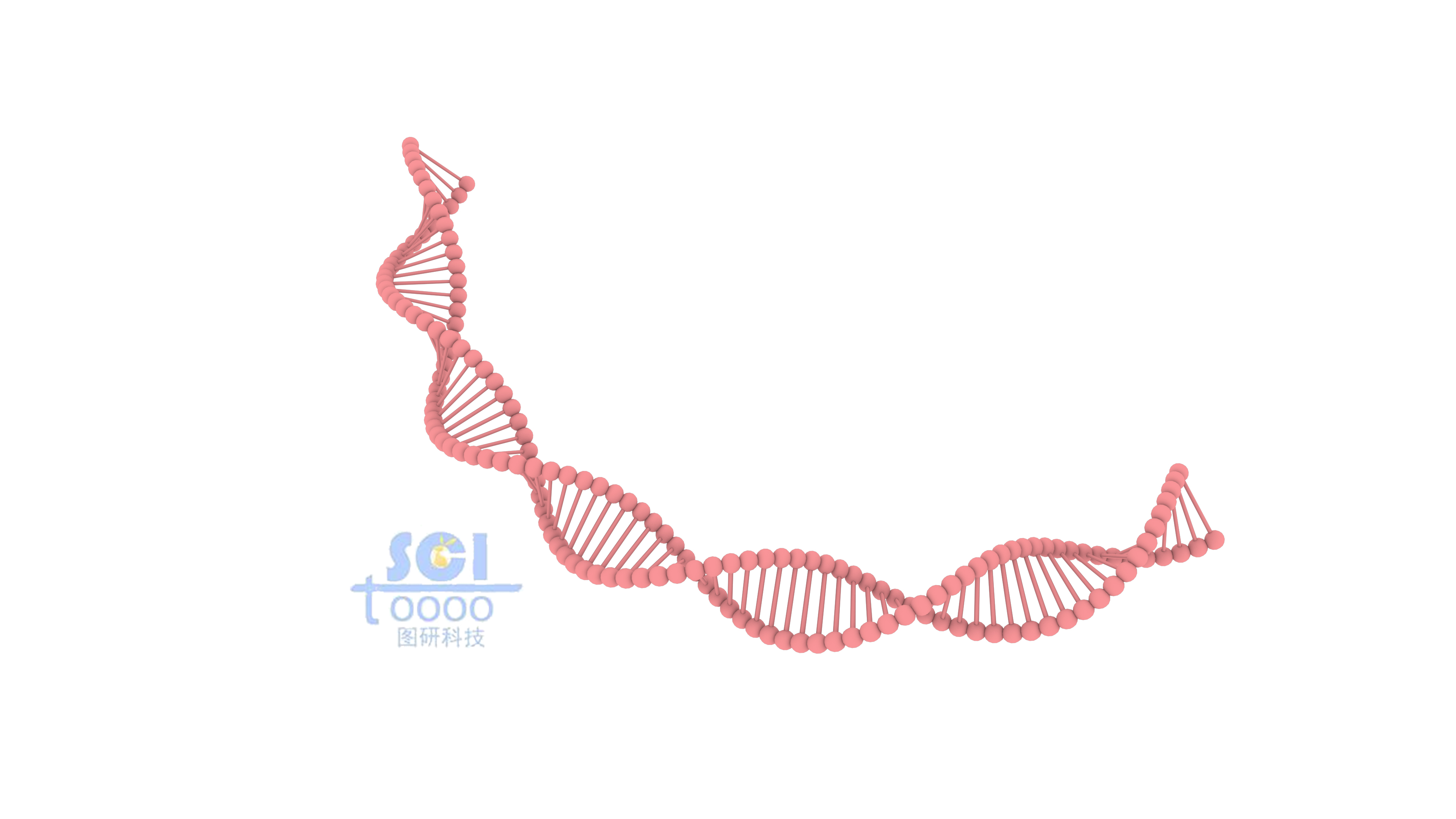 DNA結(jié)構(gòu)