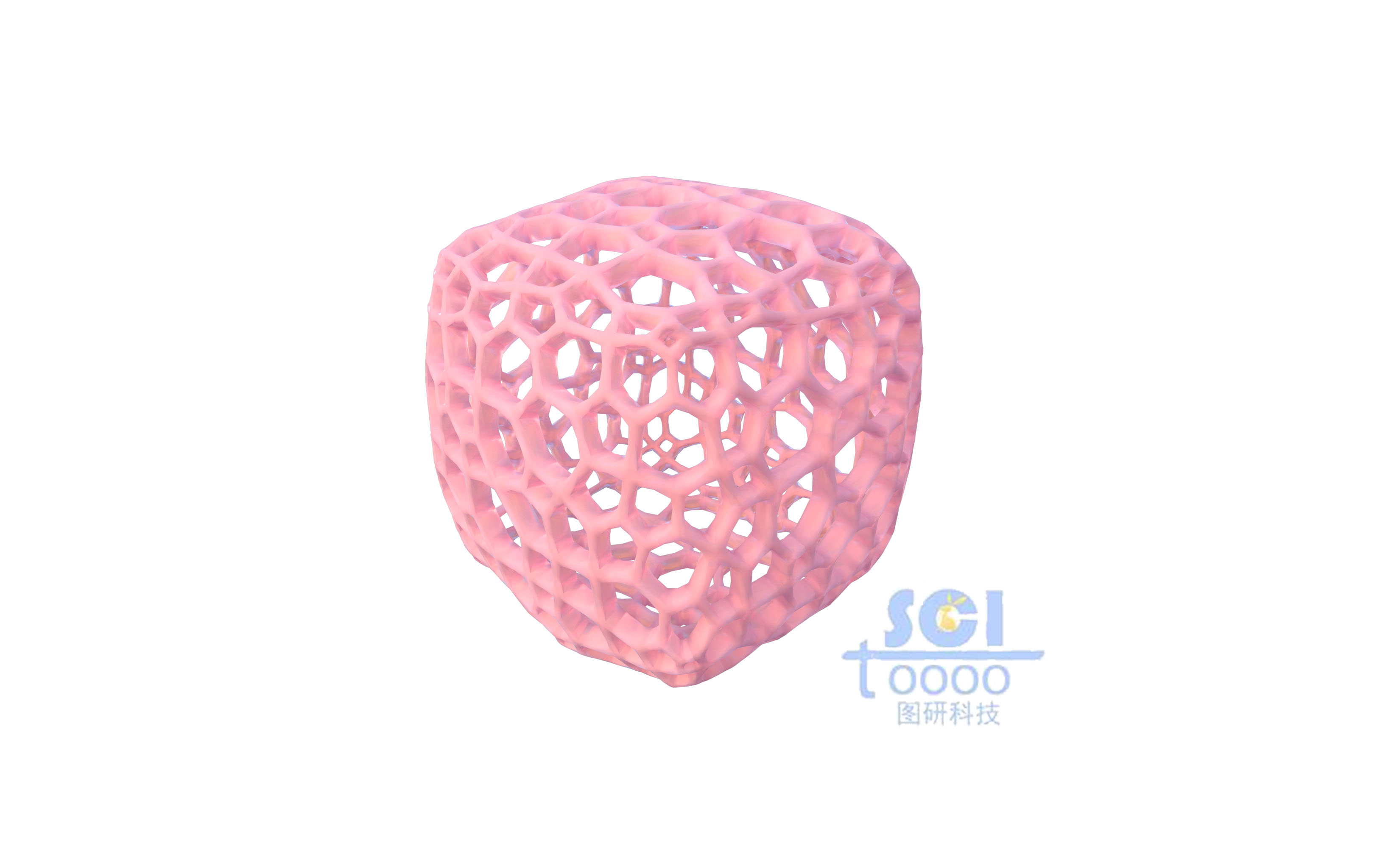 不規(guī)則多孔的骨架結(jié)構(gòu)