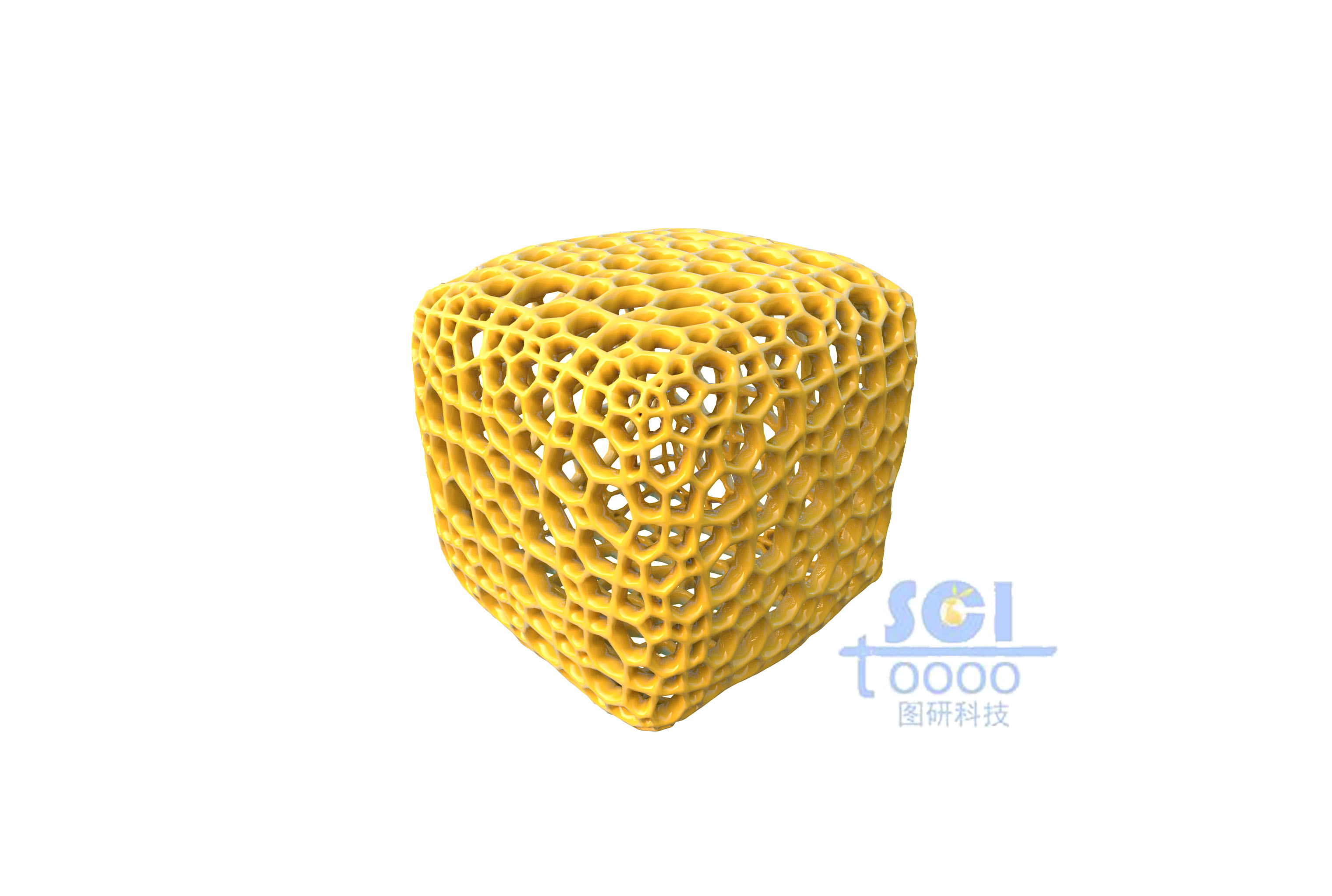 不規(guī)則多孔的骨架結(jié)構(gòu)