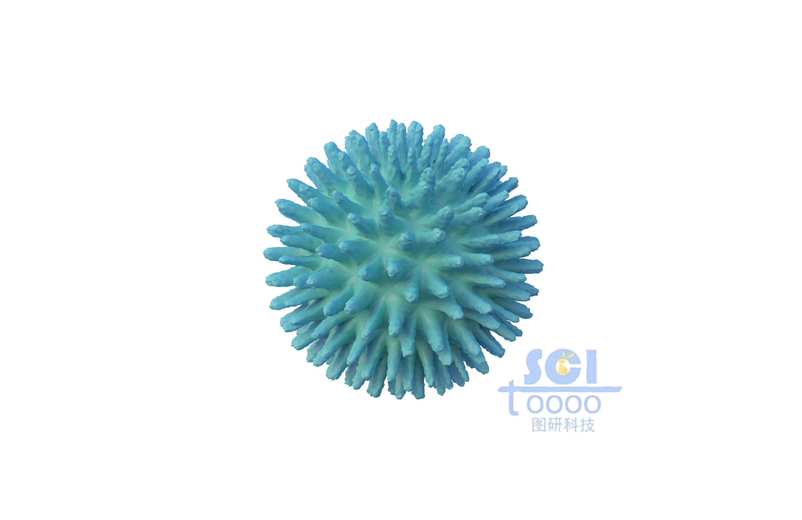 病毒結(jié)構(gòu)