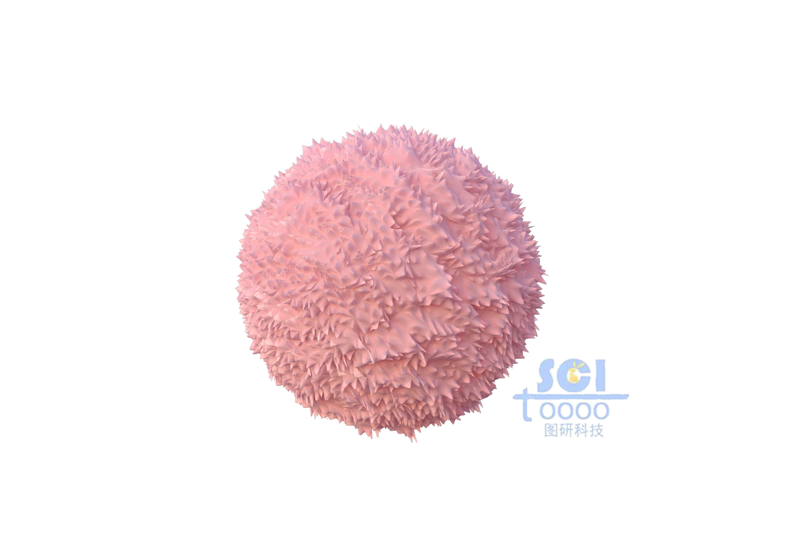 表面凹凸不平的巨噬細(xì)胞