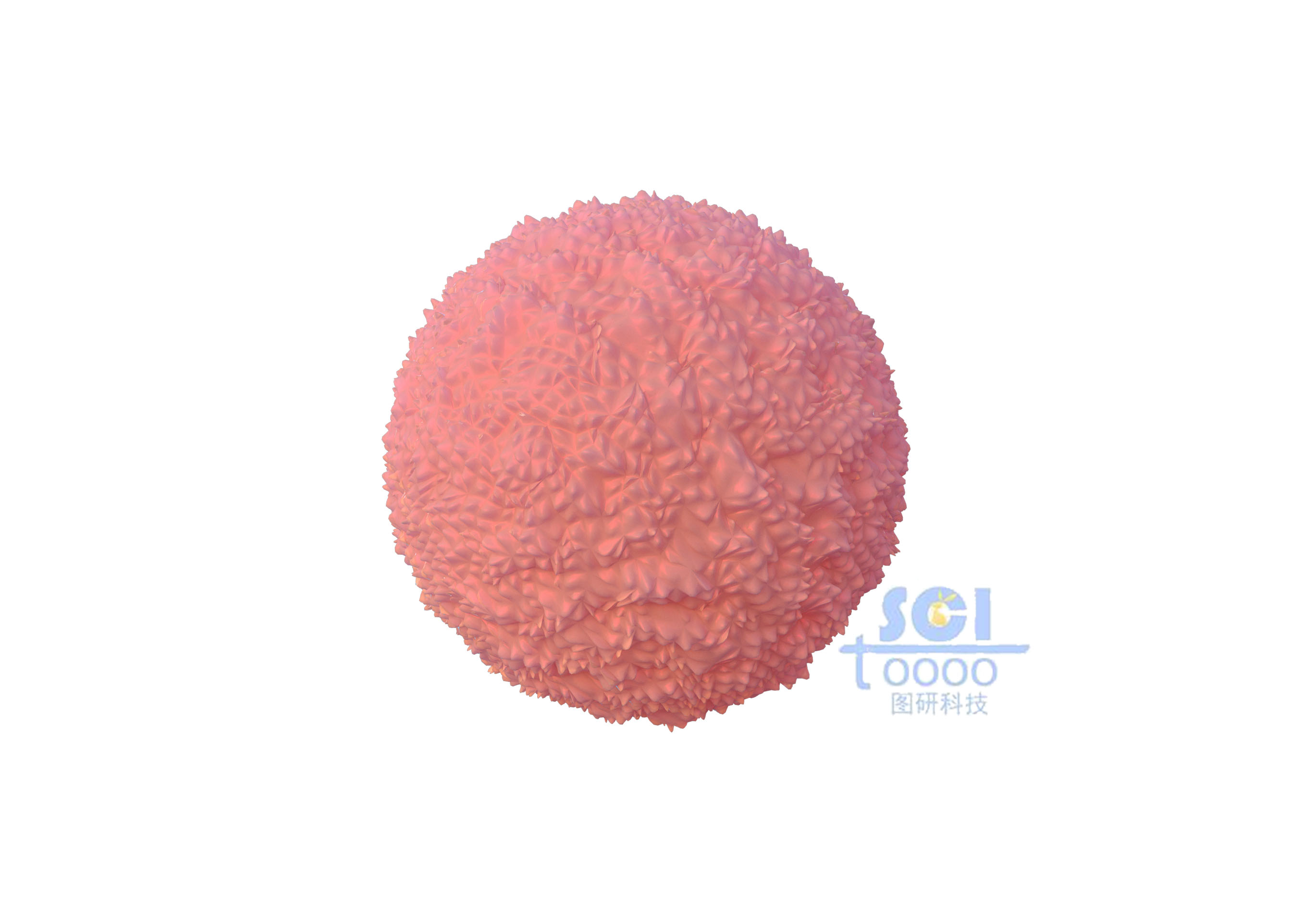 表面凹凸不平的巨噬細(xì)胞