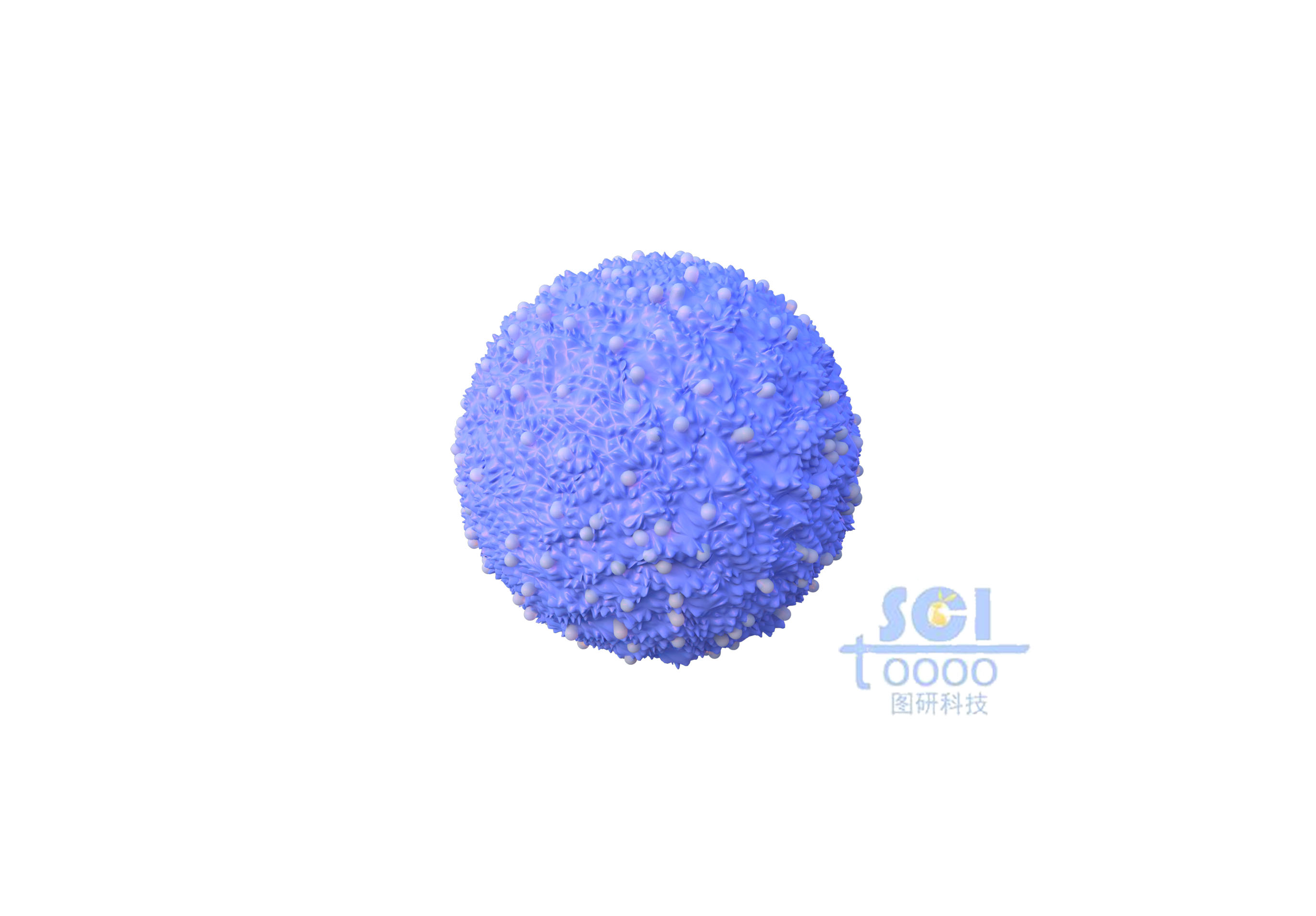 表面凹凸不平的巨噬細(xì)胞