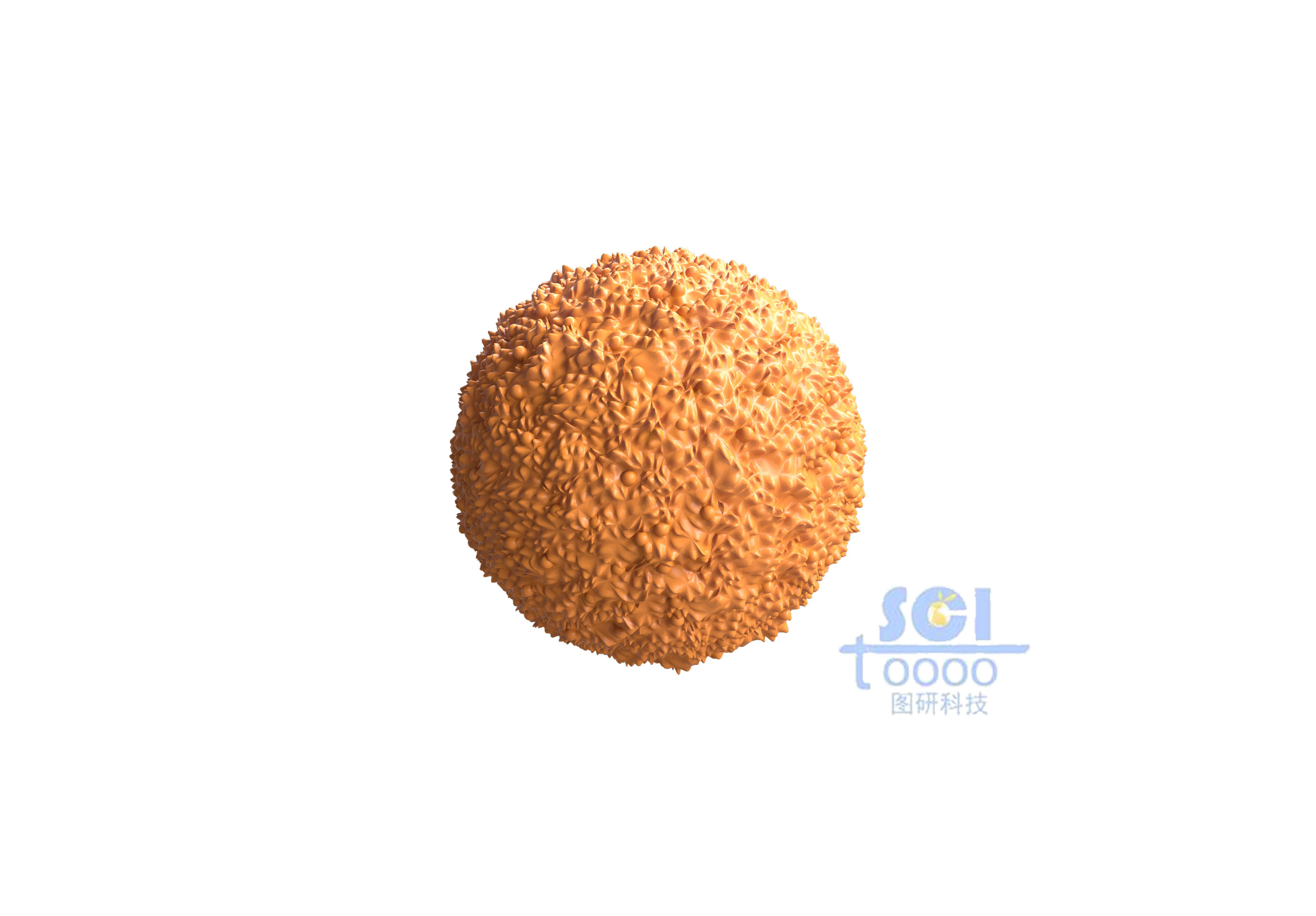 表面凹凸不平的巨噬細(xì)胞