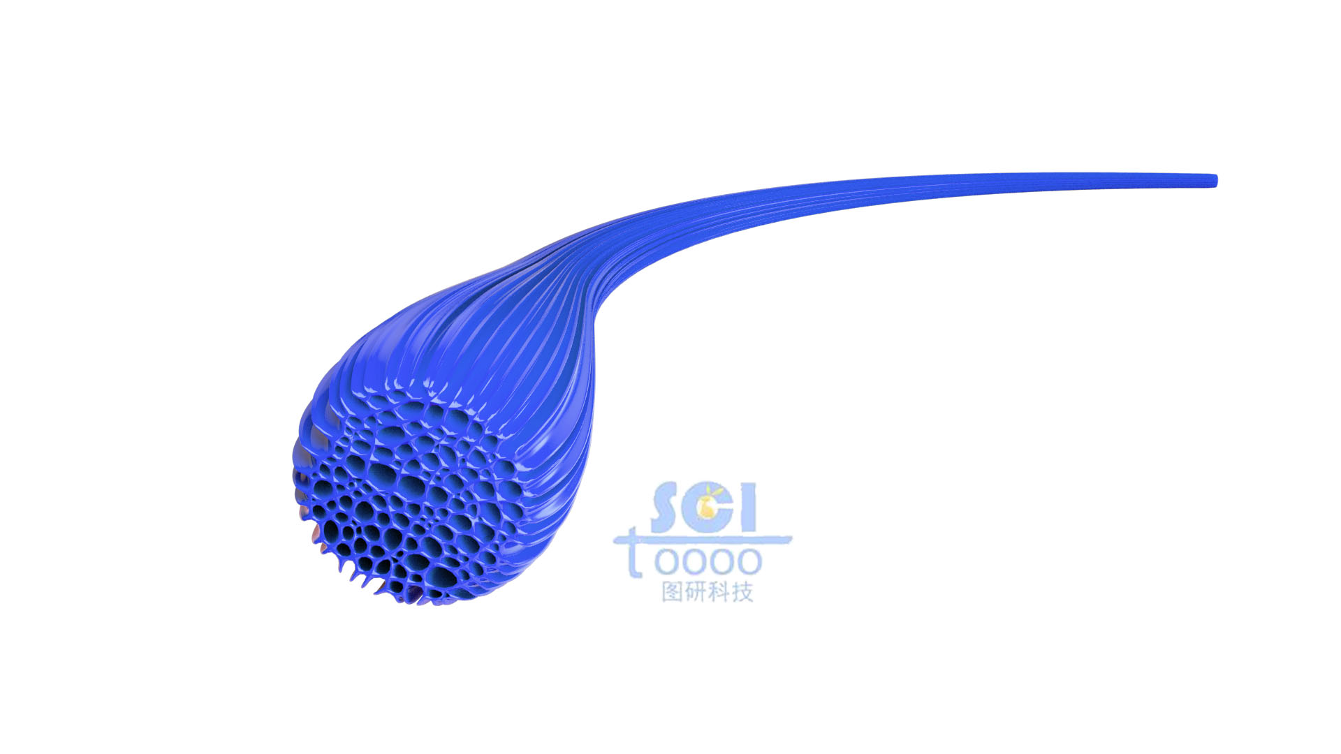 纖維結(jié)構(gòu)