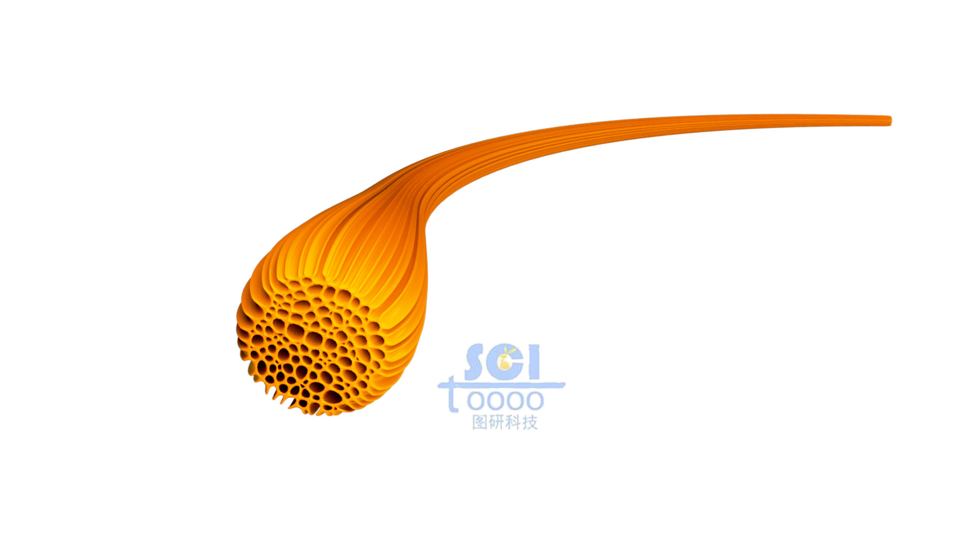 纖維結(jié)構(gòu)