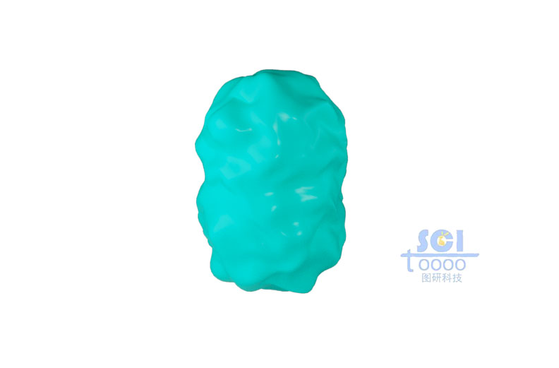 蛋白結(jié)構(gòu)