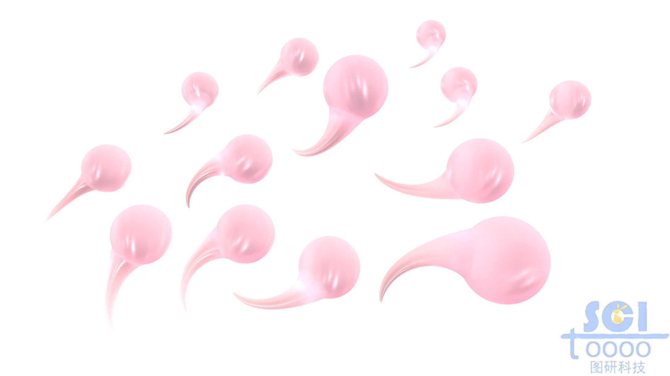 帶尾巴的細菌結(jié)構(gòu)