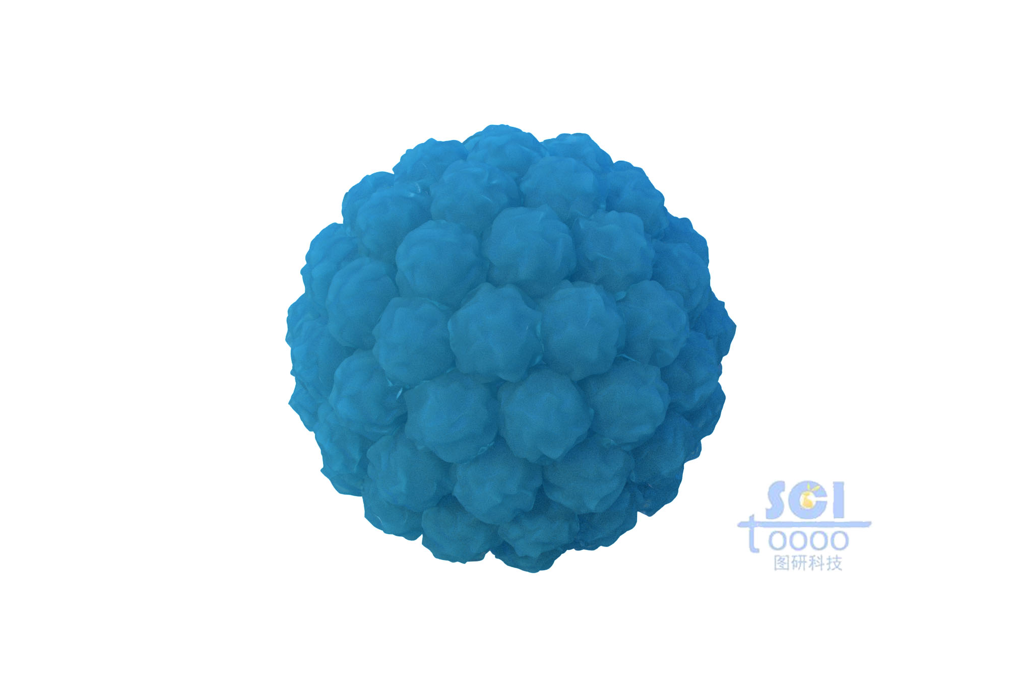 癌細(xì)胞團(tuán)簇