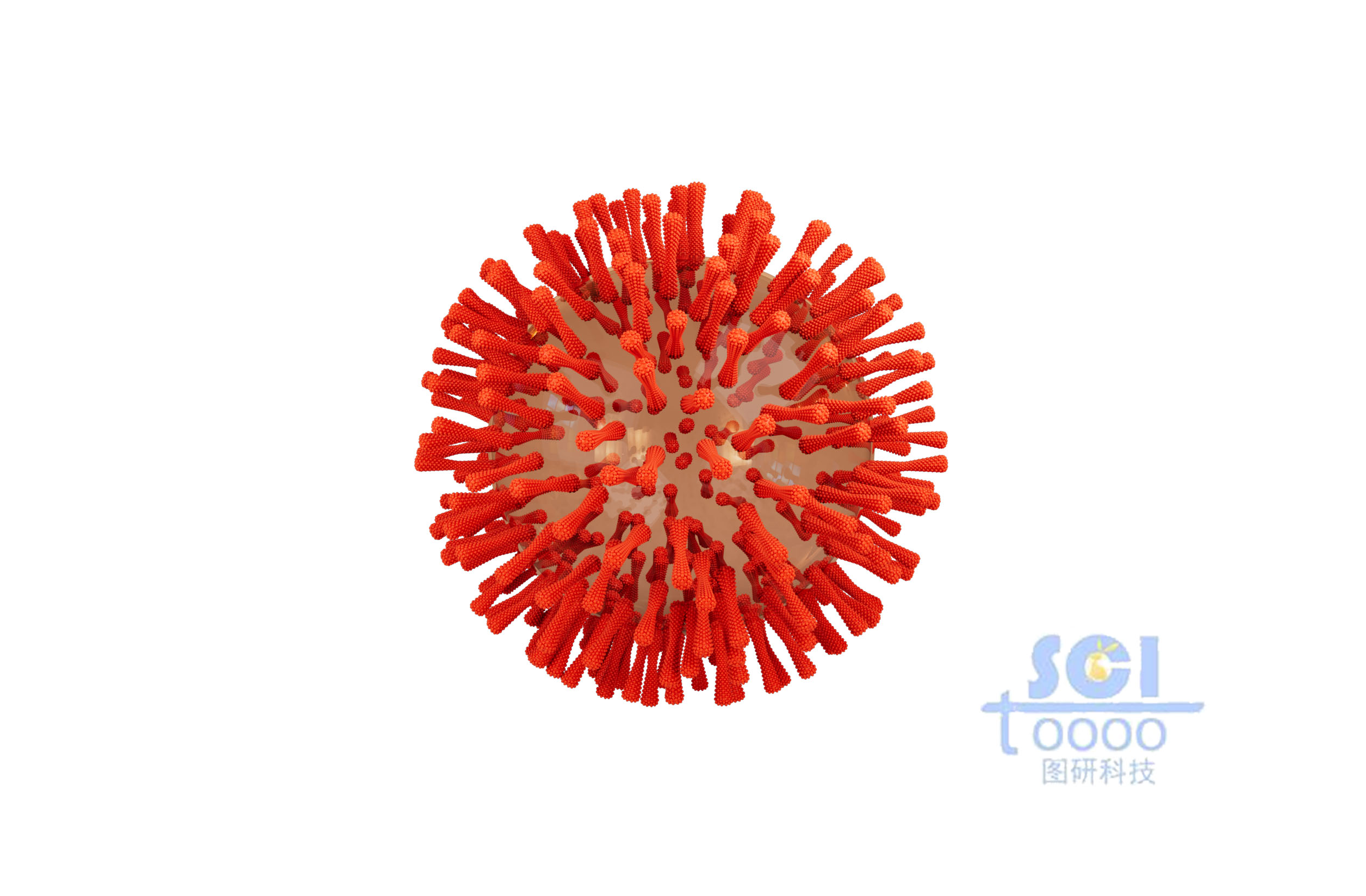 表面帶有突觸的病毒