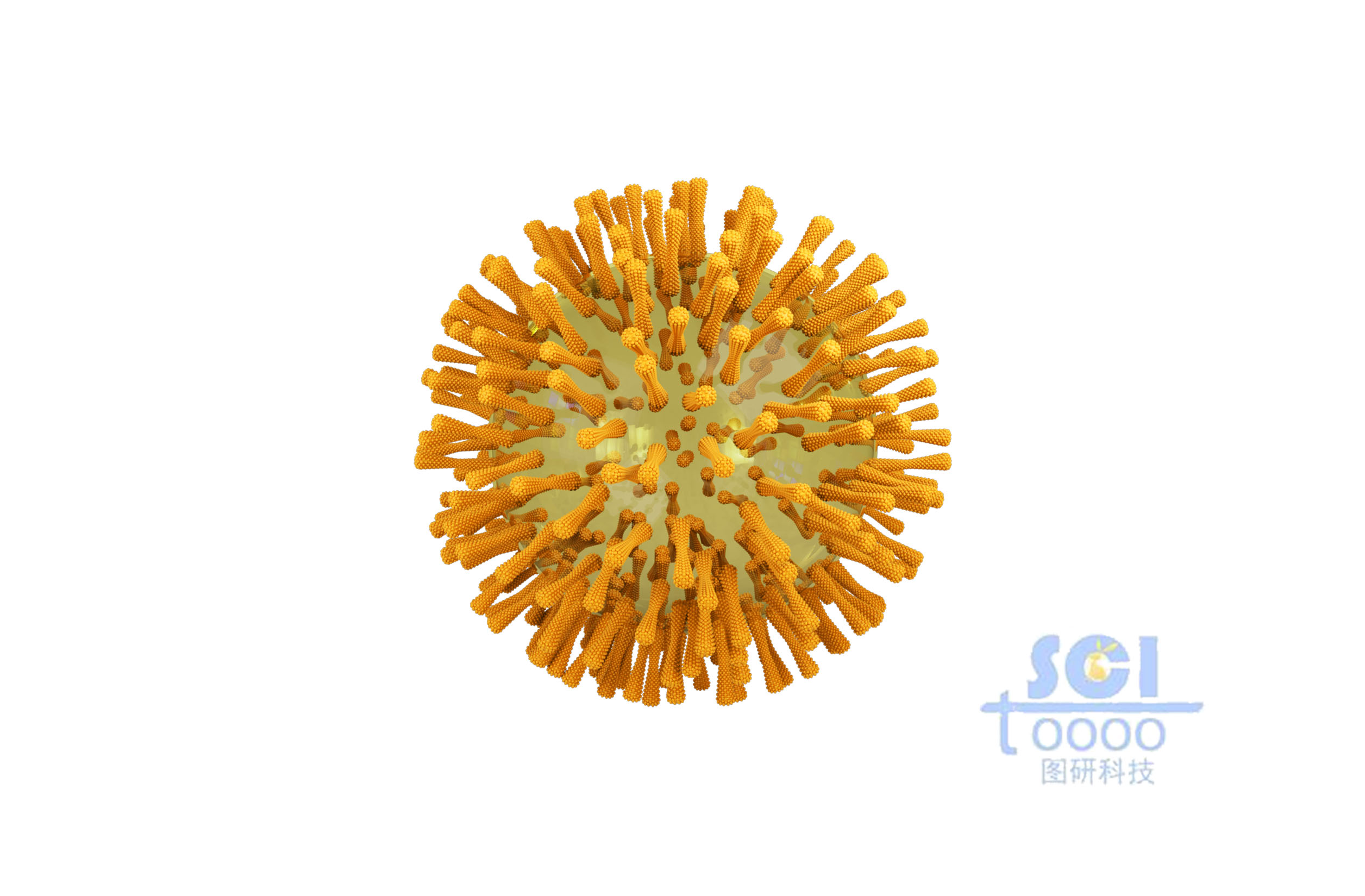 表面帶有突觸的病毒