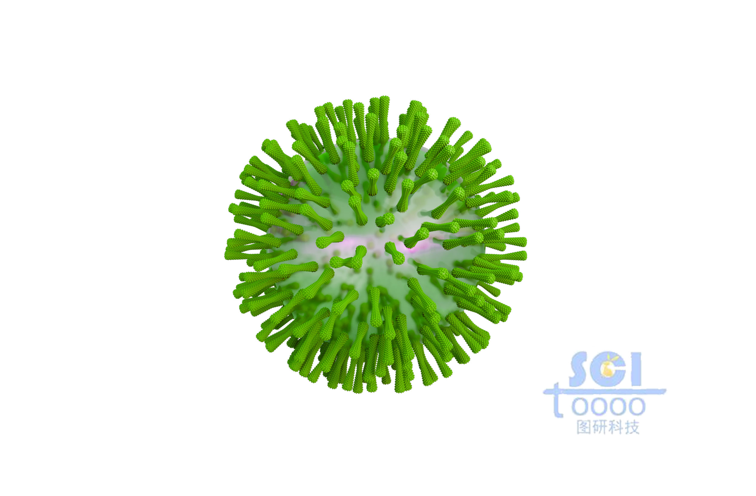 表面帶有突觸的病毒