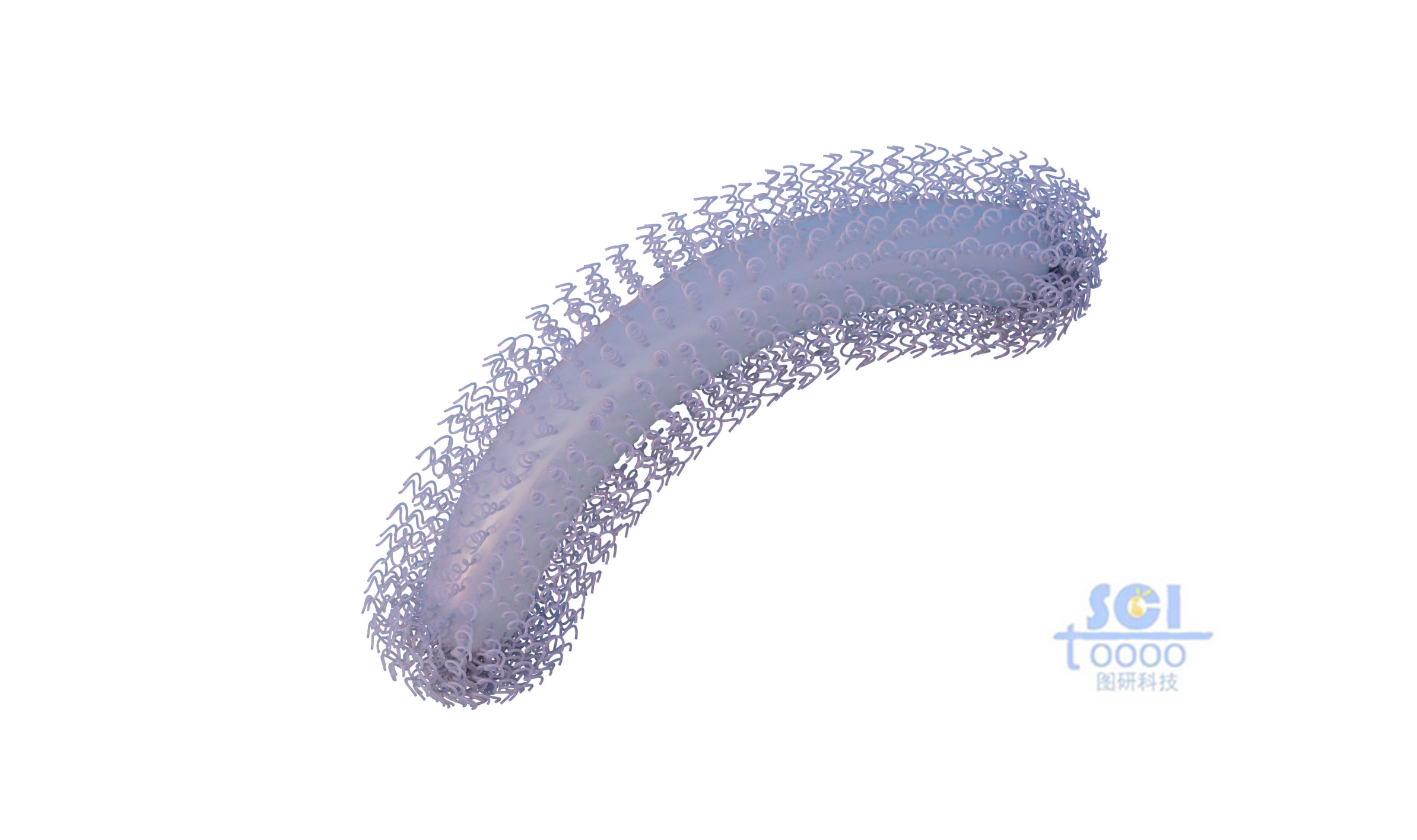 納米線分布的納米棒