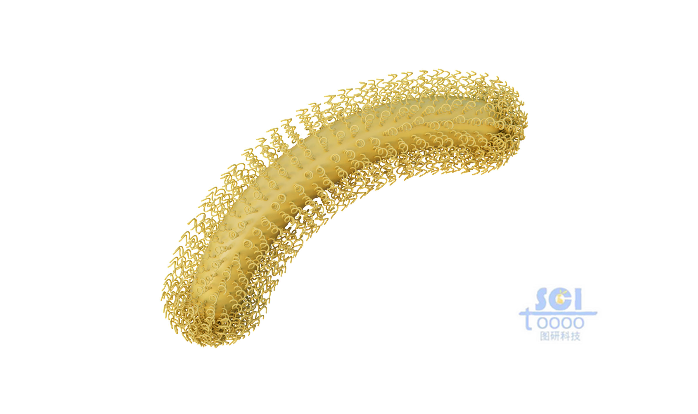 納米線分布的納米棒