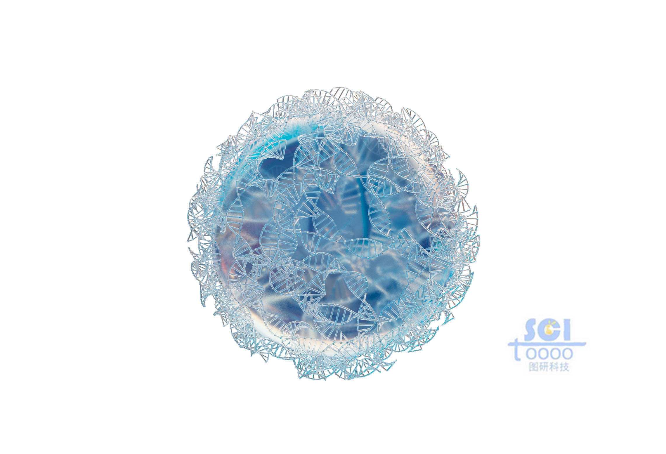 DNA鏈纏繞的納米球