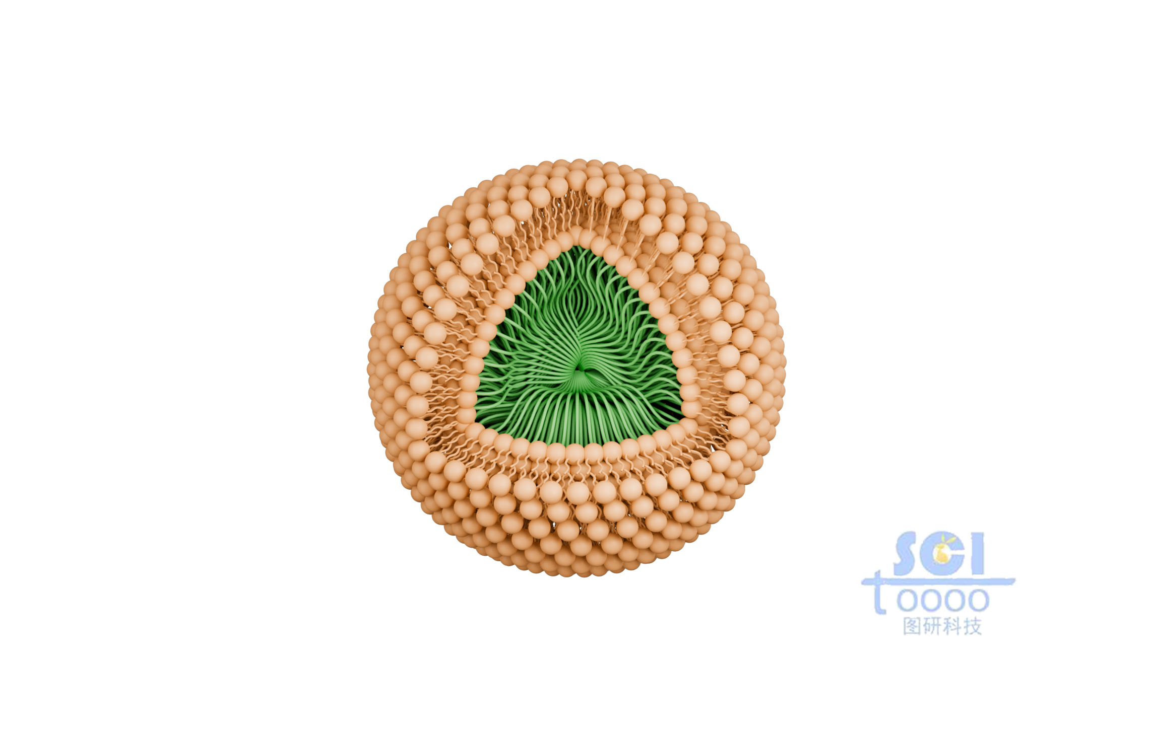 帶有磷脂雙分子層的納米藥物