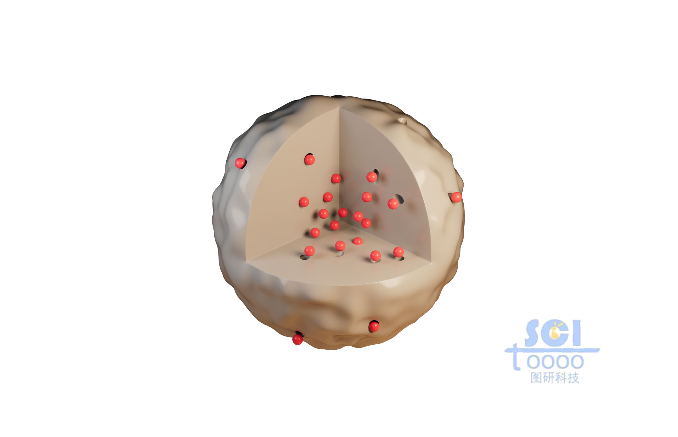 負(fù)載顆粒的八分之一切口的納米球