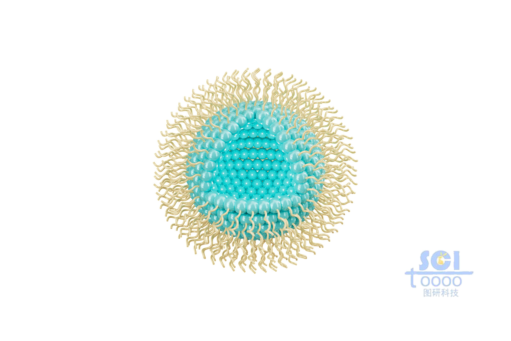 八分之一切口的單壁空心納米球