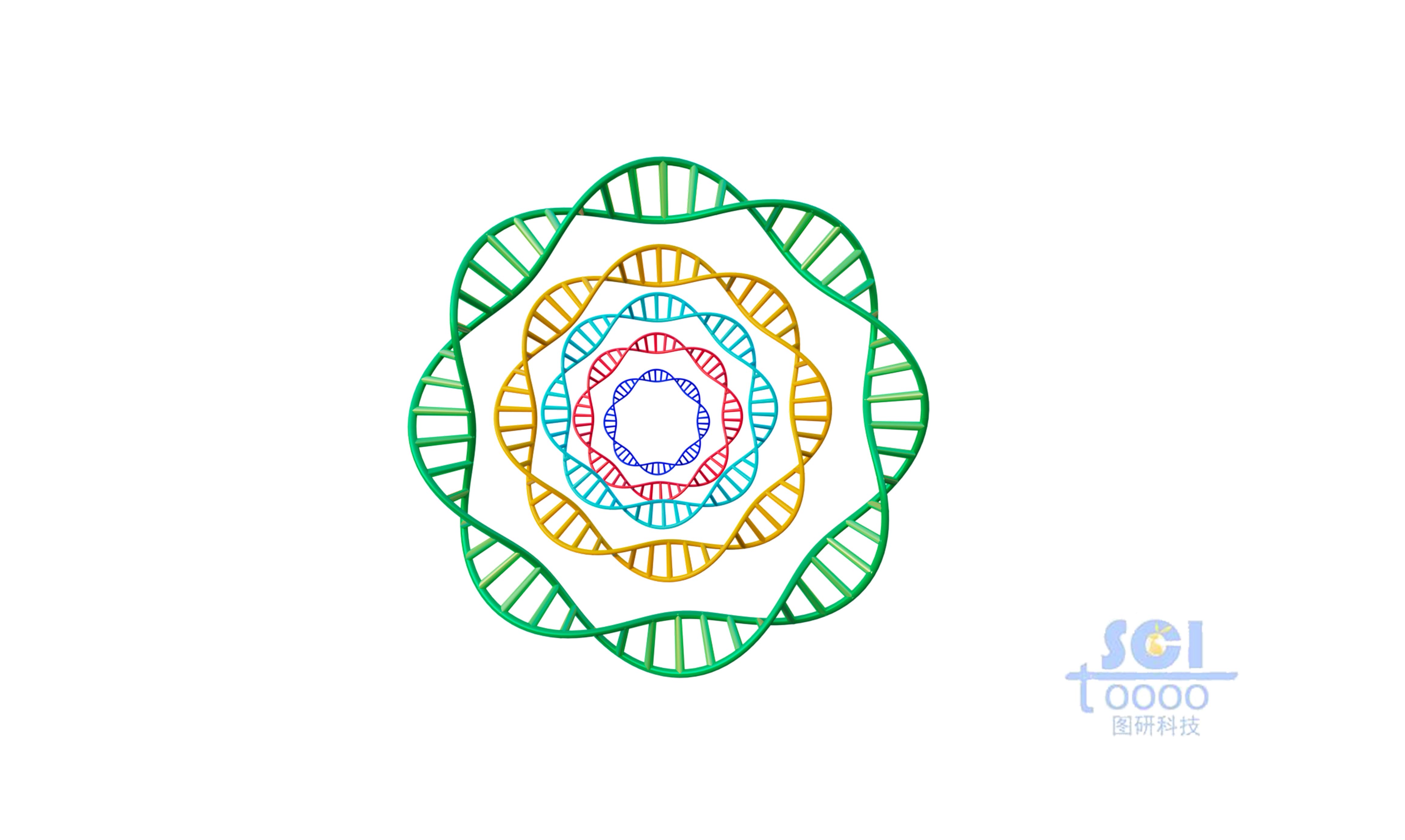 質(zhì)粒環(huán)