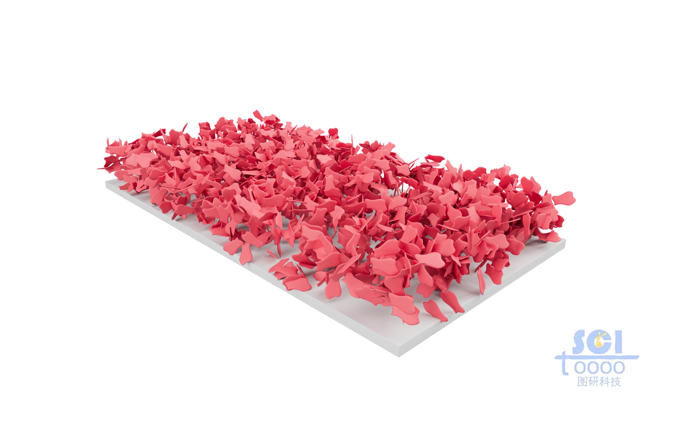 堆積生長(zhǎng)的納米片