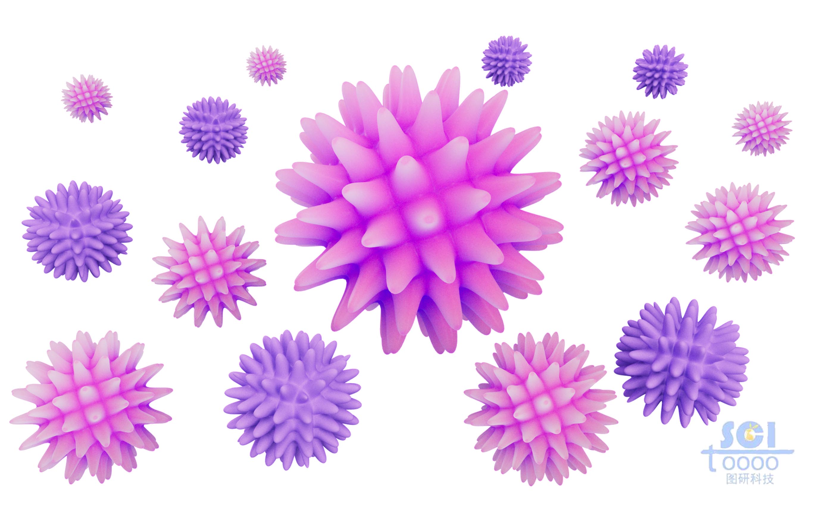 細(xì)菌結(jié)構(gòu)