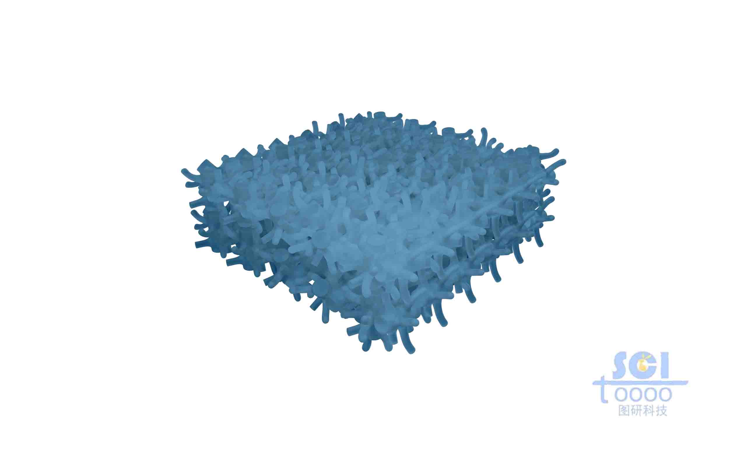 多孔骨架結(jié)構(gòu)