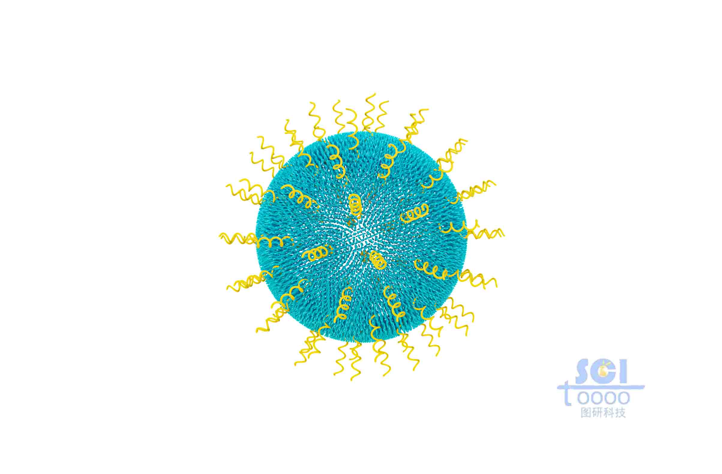 高分子鏈段聚合形成的空心球