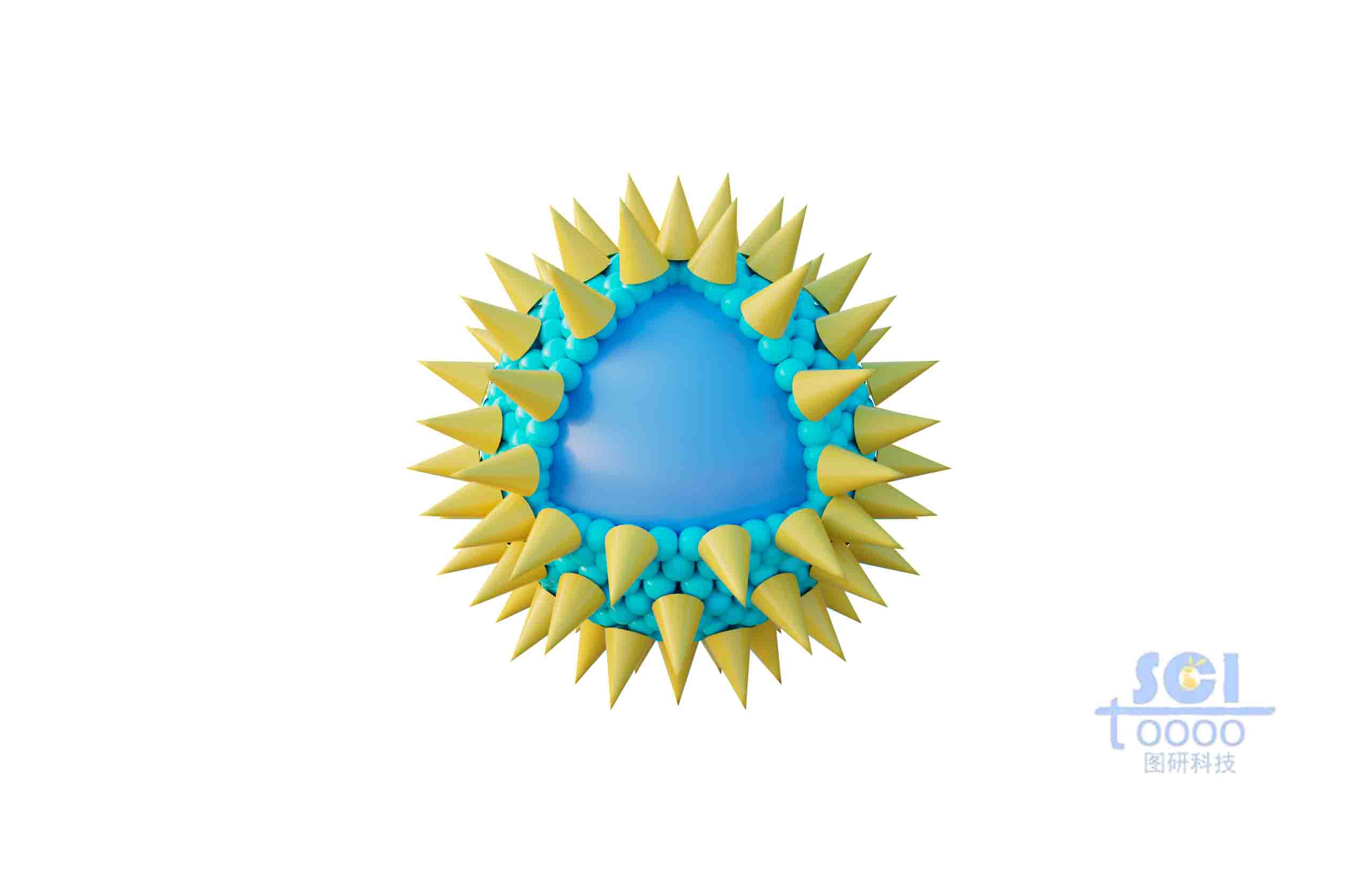 表面有錐形高分子結(jié)構(gòu)粘附的實(shí)心球