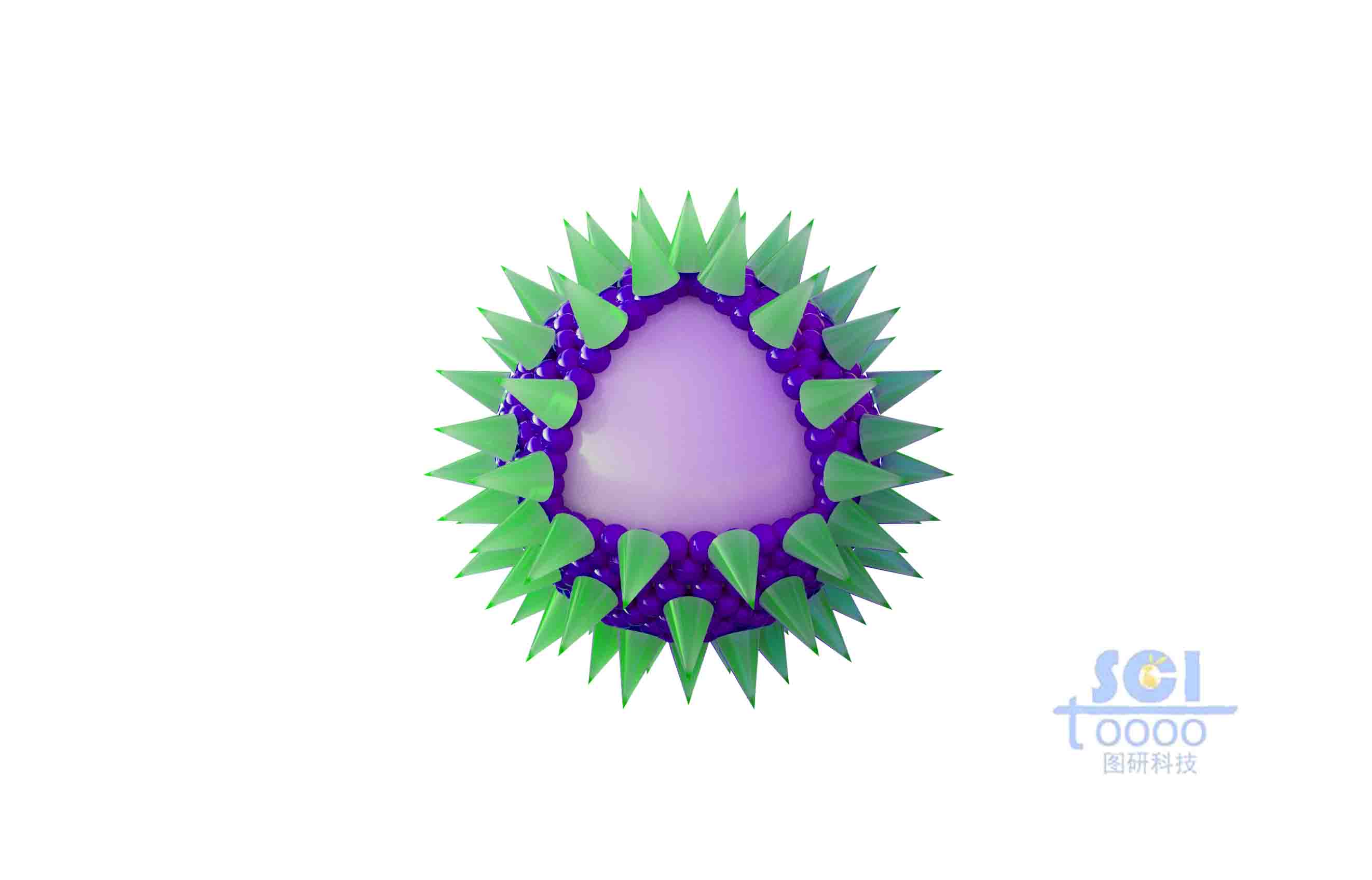 表面有錐形高分子結(jié)構(gòu)粘附的實(shí)心球