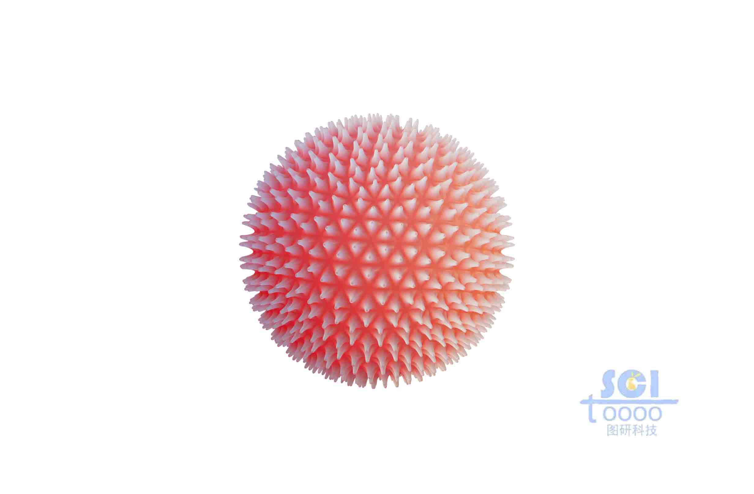 病毒結(jié)構(gòu)