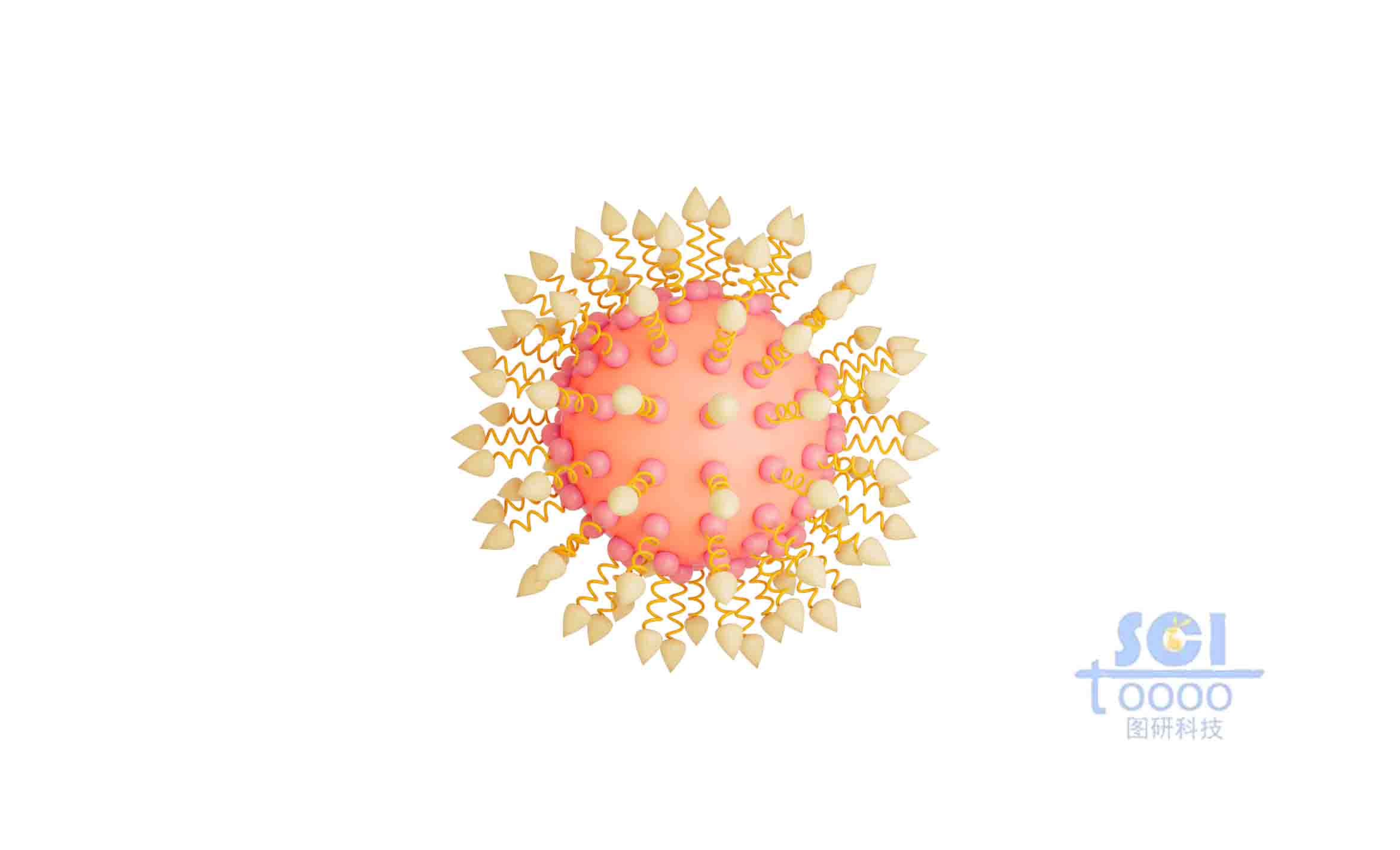 帶有靶向的納米球