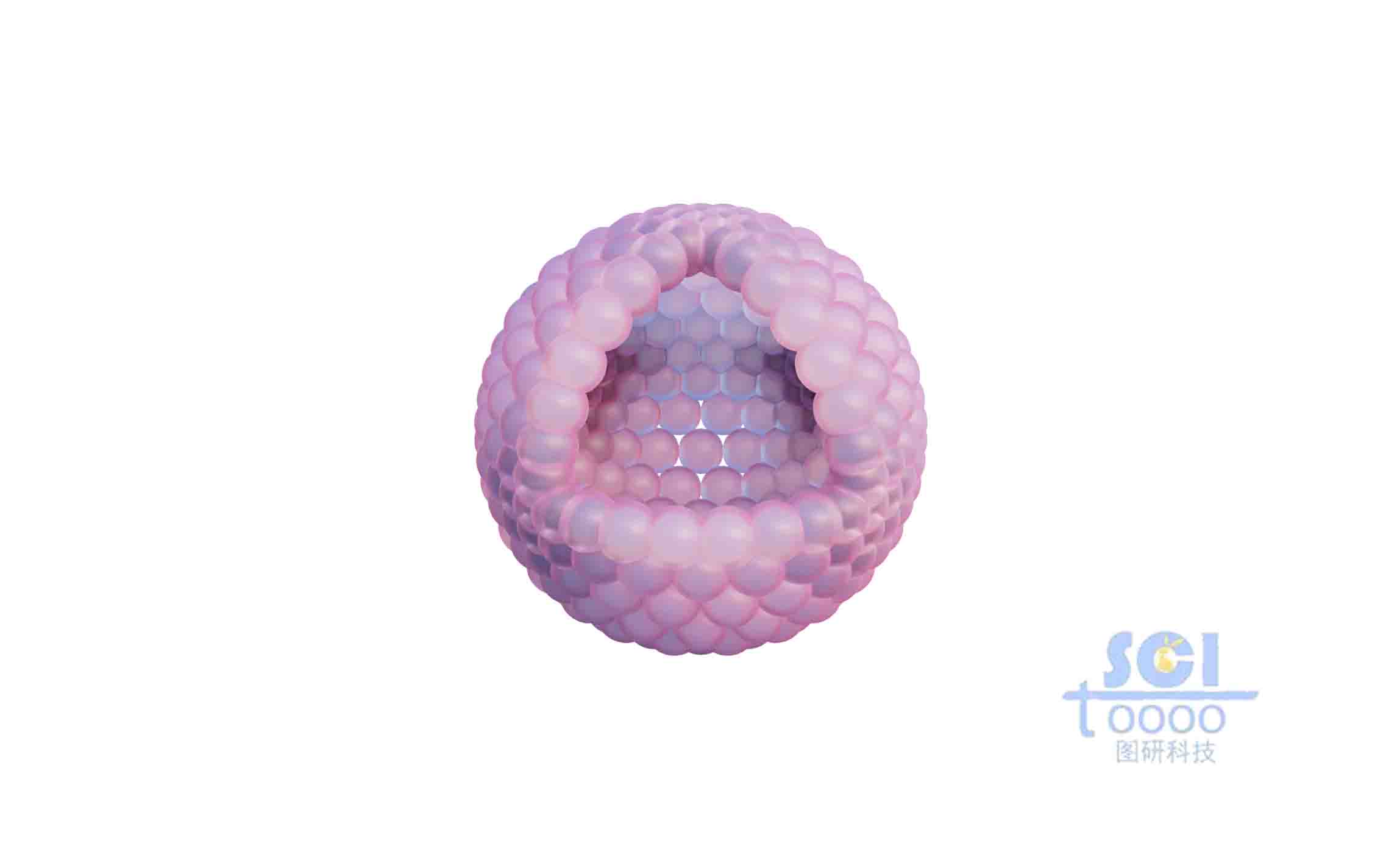 空腔的腫瘤細(xì)胞