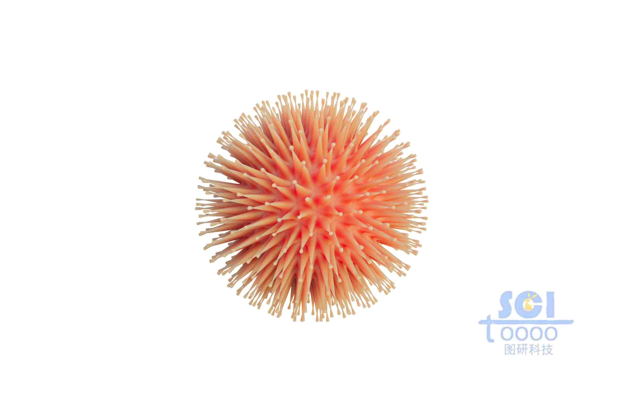 帶長觸角的病毒細(xì)胞