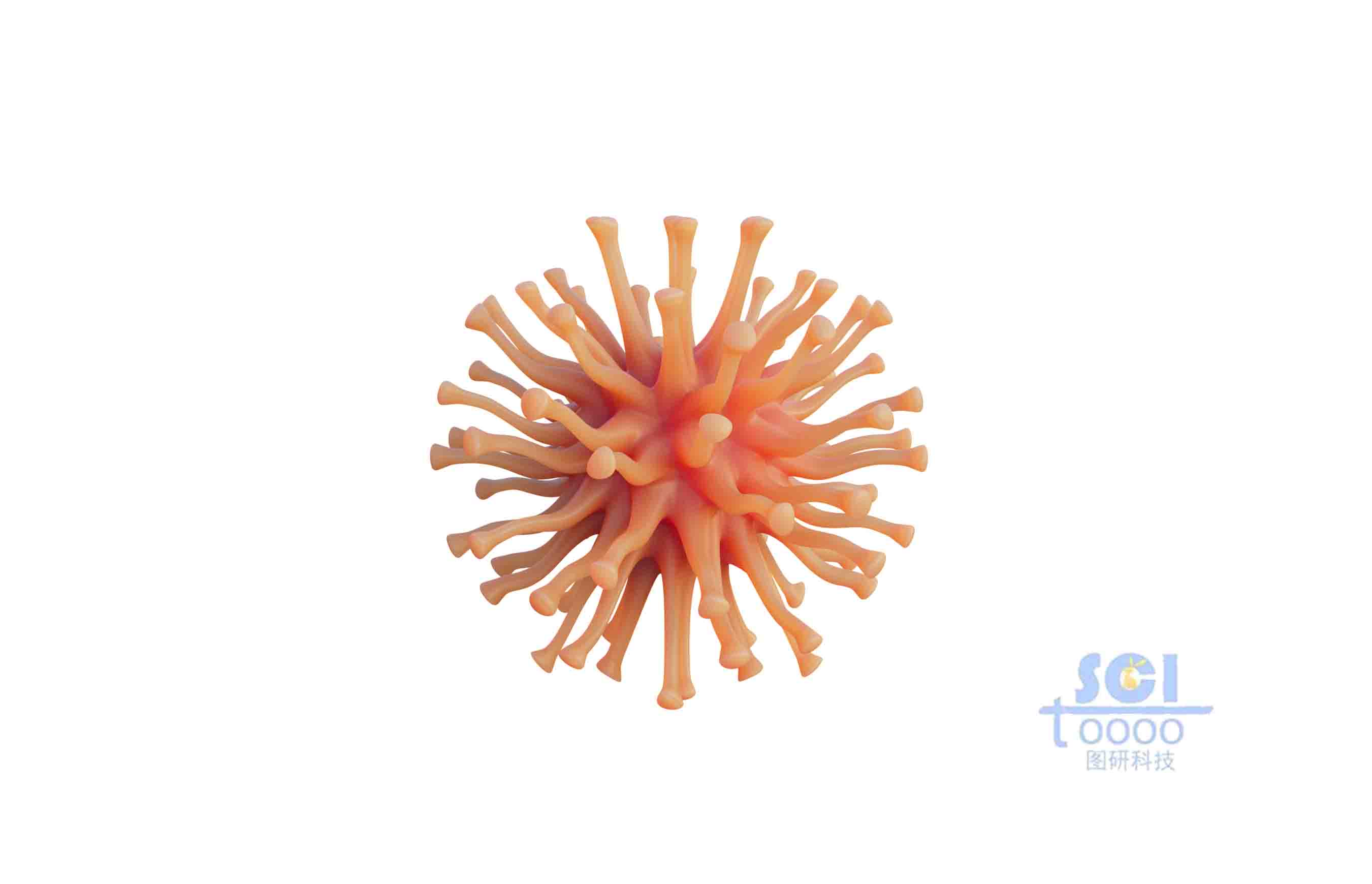 單體神經(jīng)元細(xì)胞