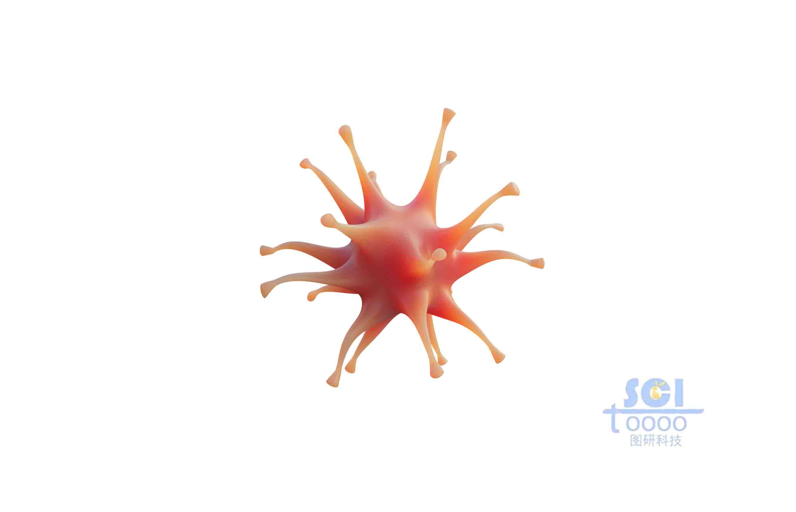 單體神經(jīng)元細(xì)胞