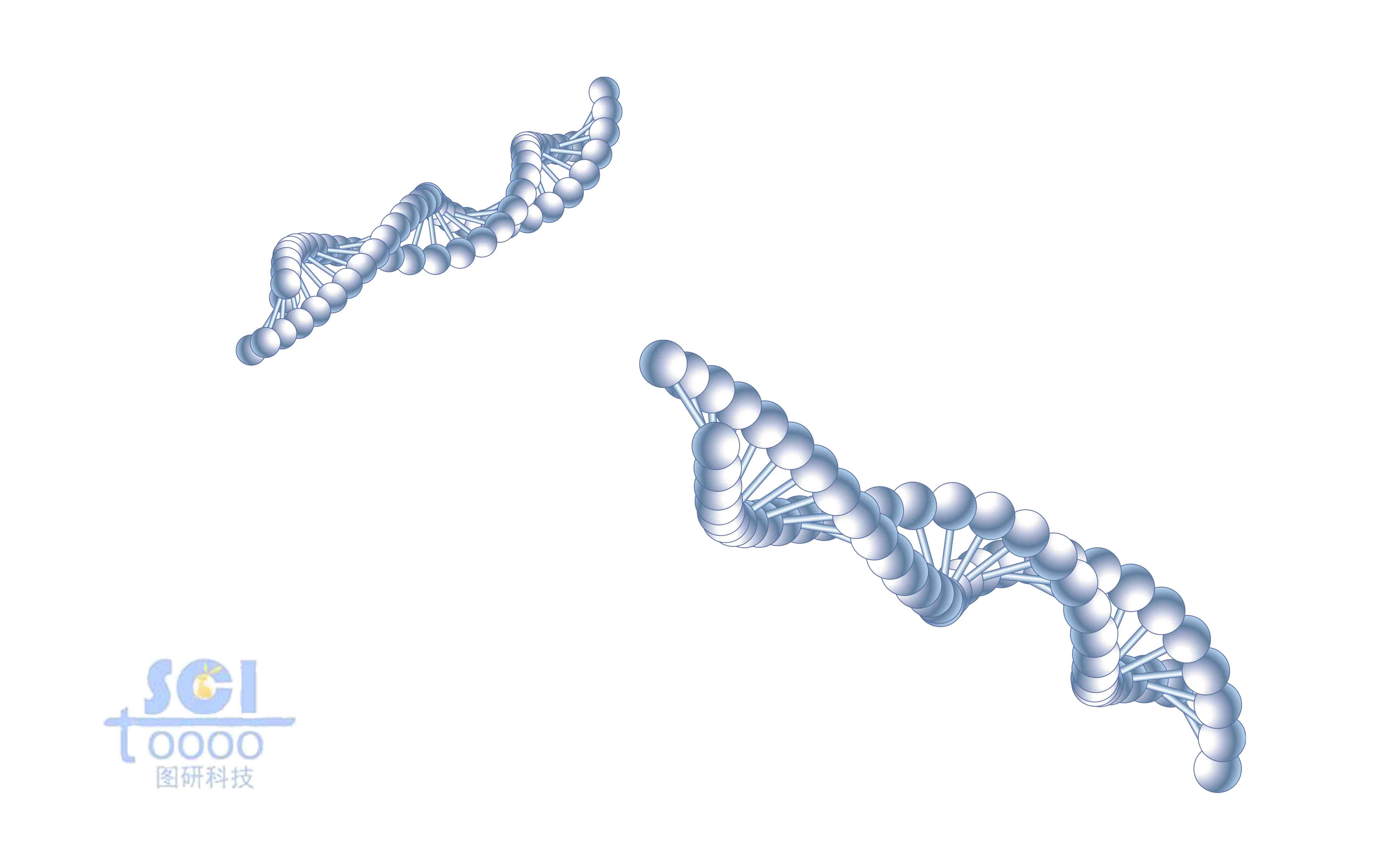 DNA雙螺旋結(jié)構(gòu)