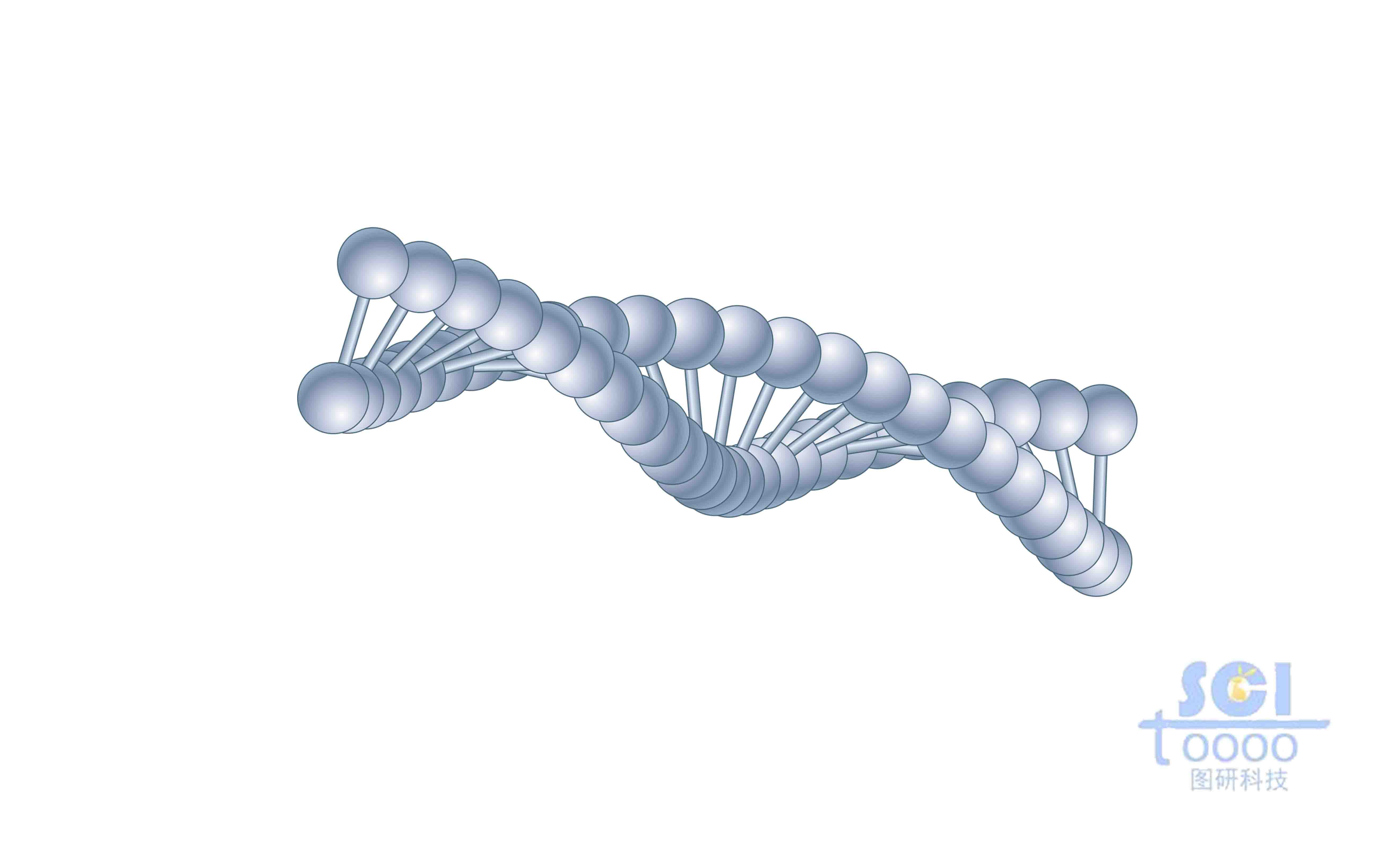 DNA雙螺旋結(jié)構(gòu)