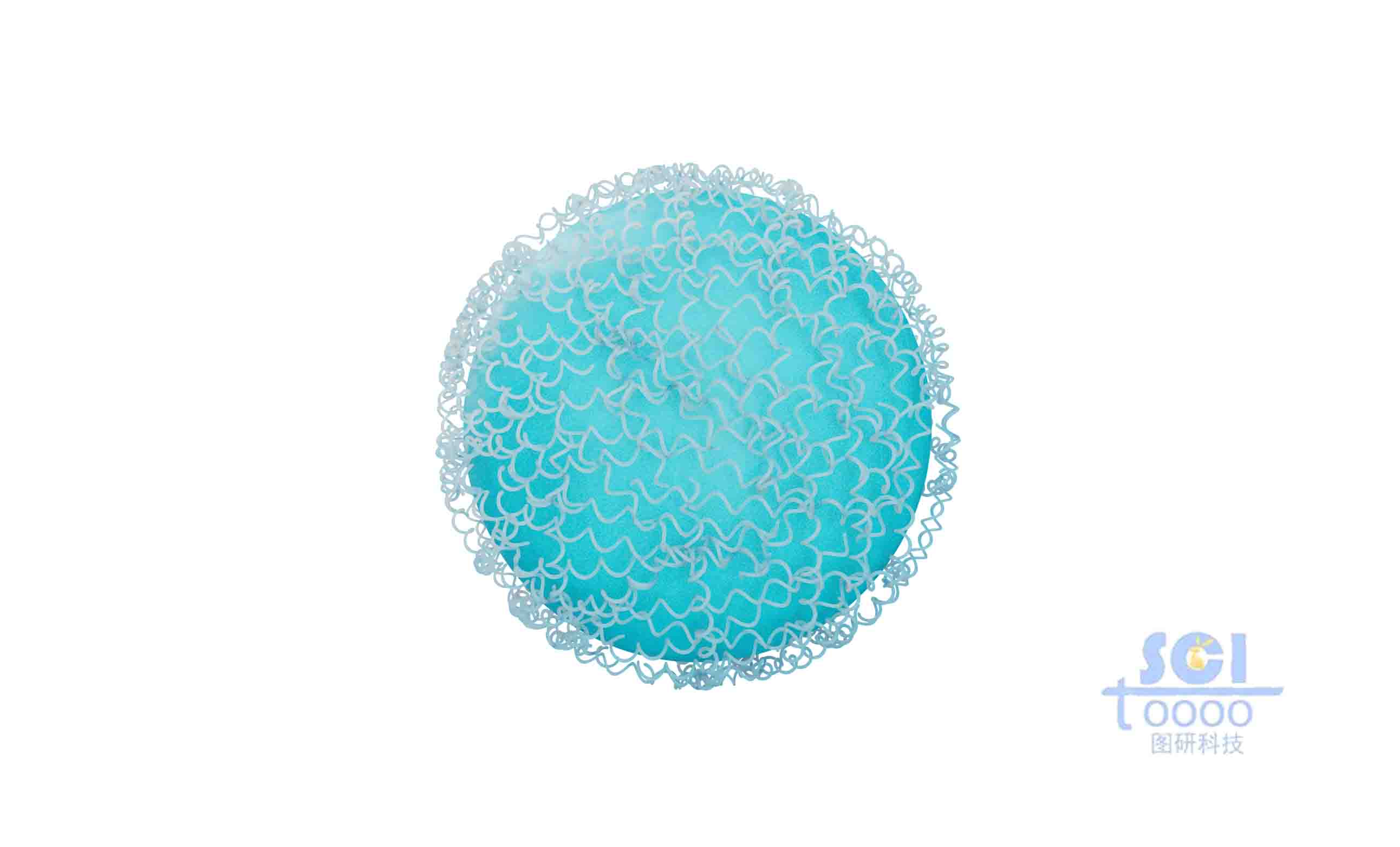 蛋白結構聚合的納米球