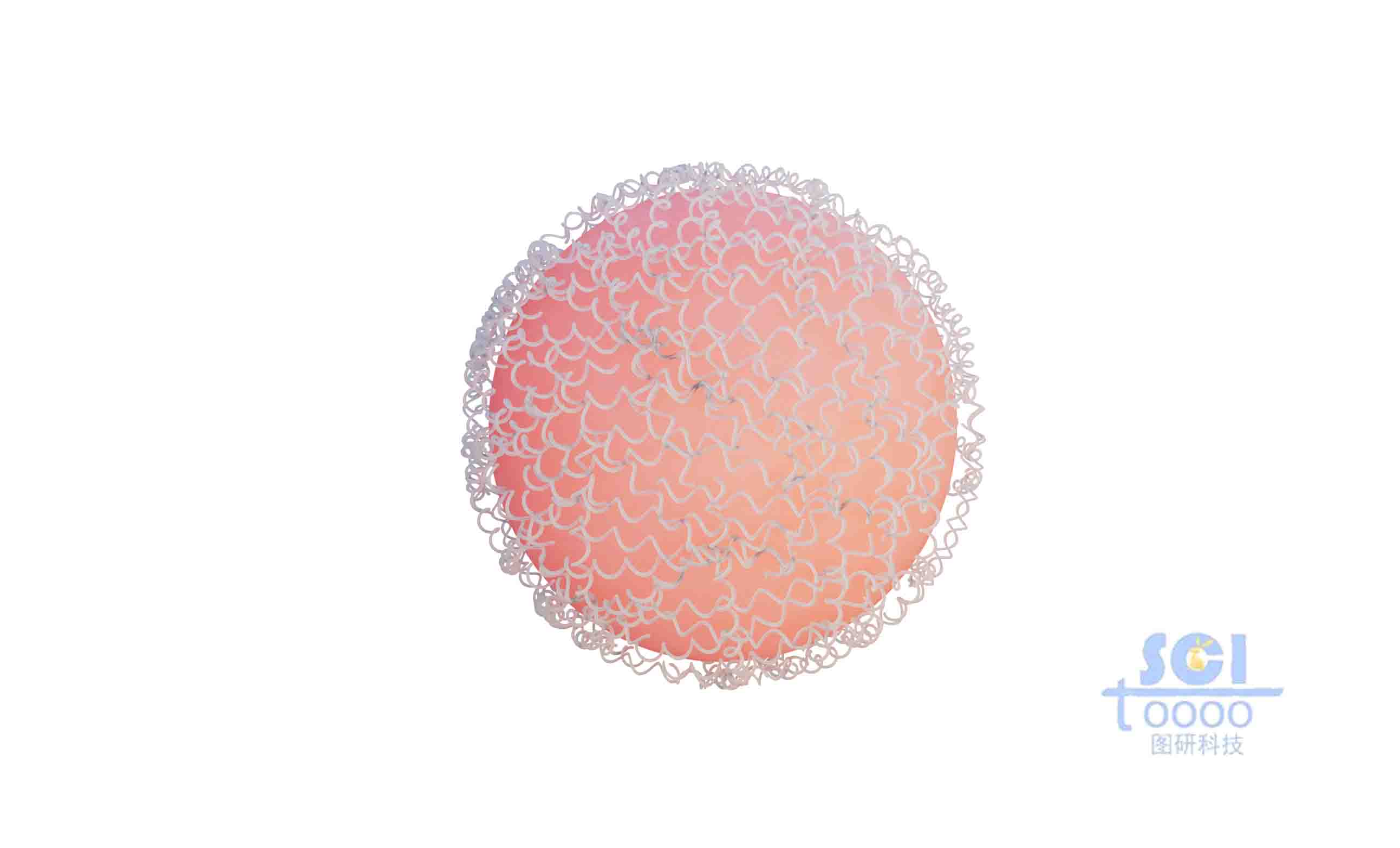 蛋白結構聚合的納米球