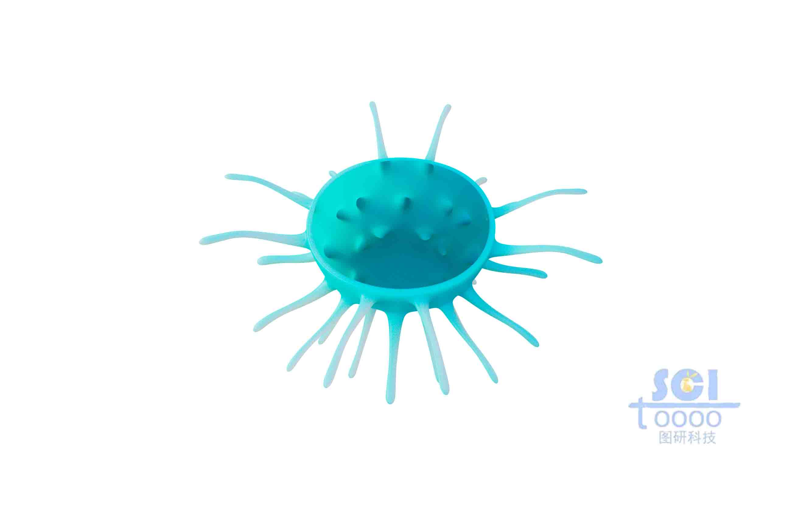 帶觸角的細(xì)胞