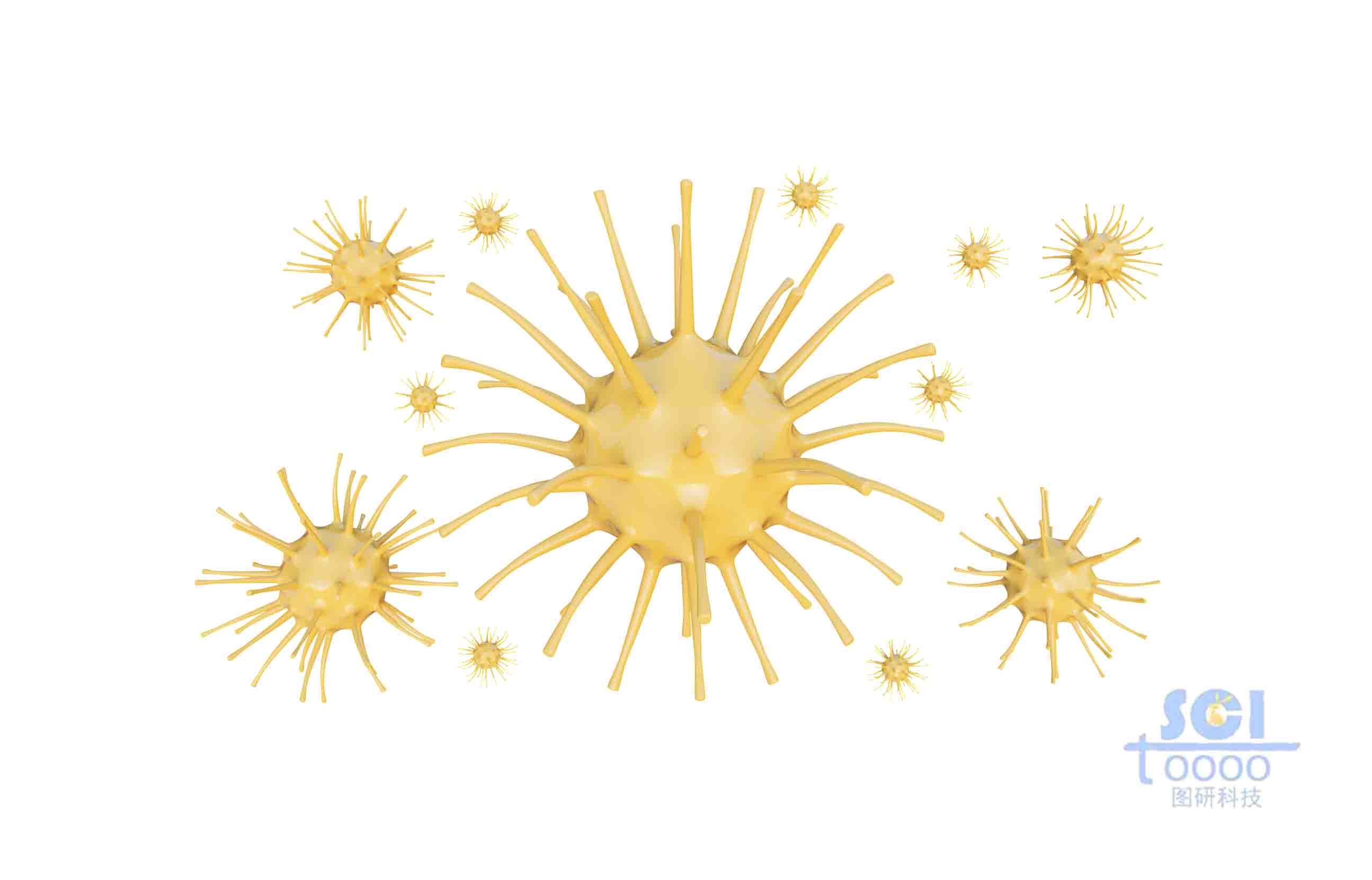 帶觸角的小細胞