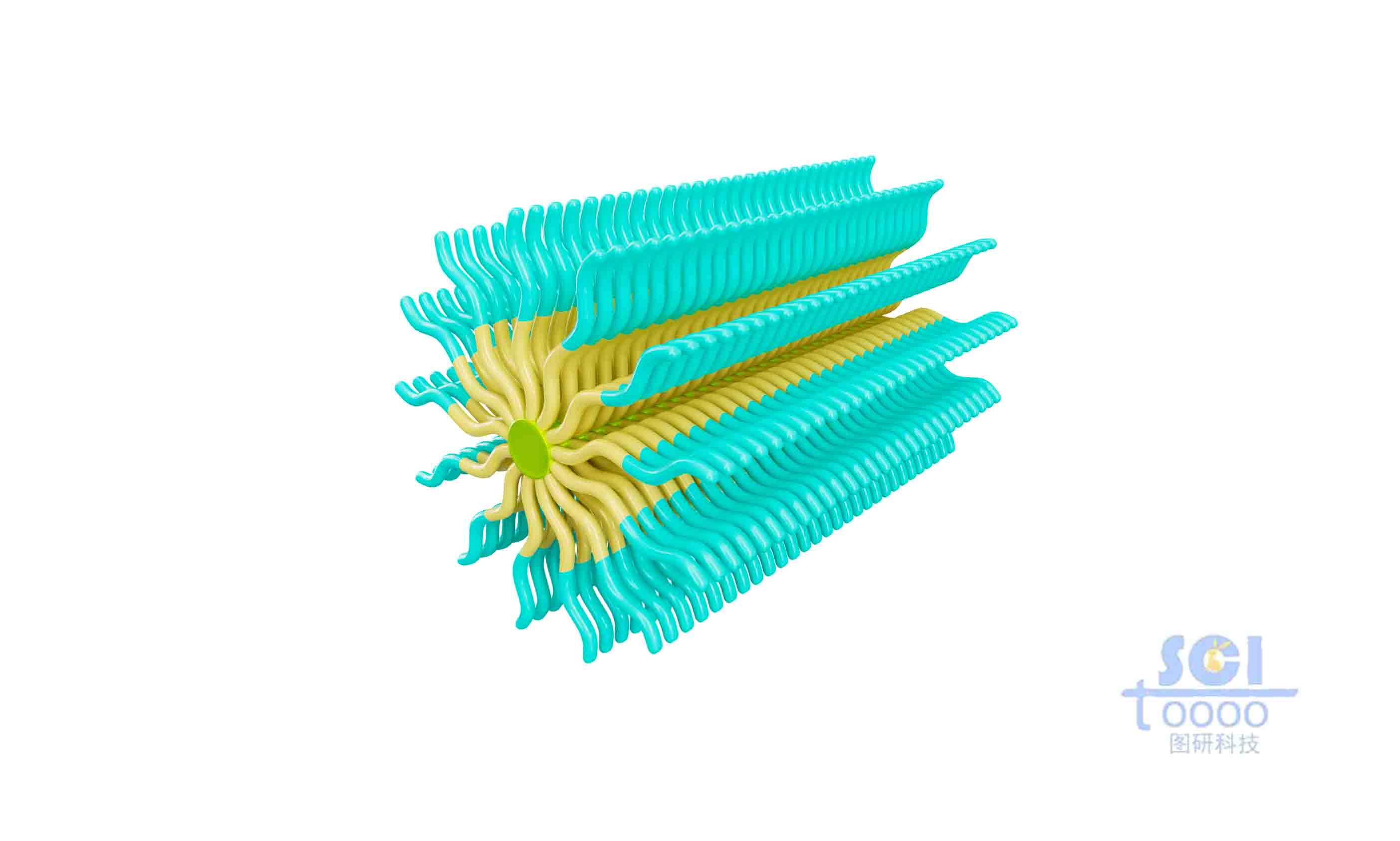 兩種不同高分子鏈段構(gòu)成的納米棒
