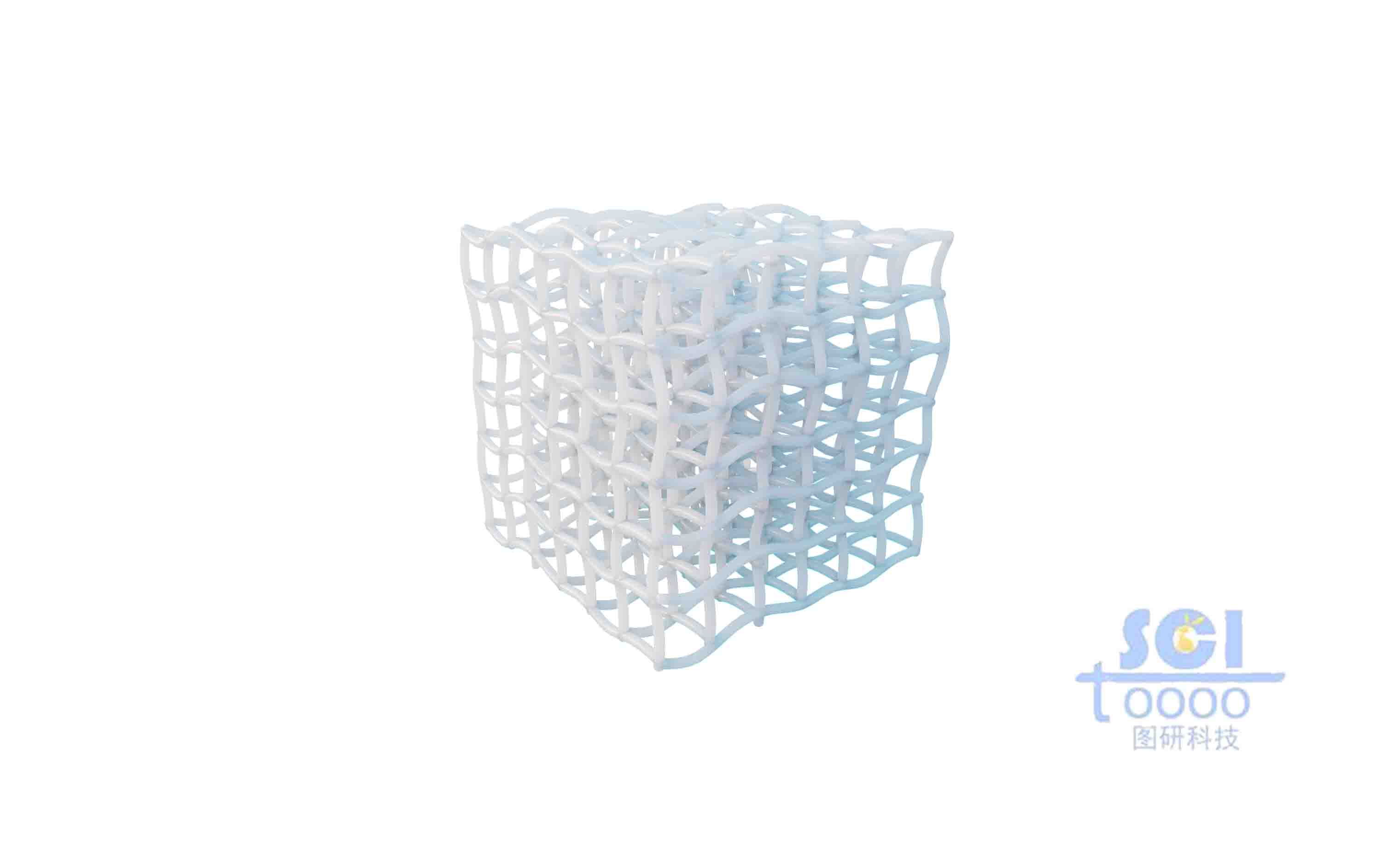 多孔骨架結(jié)構(gòu)