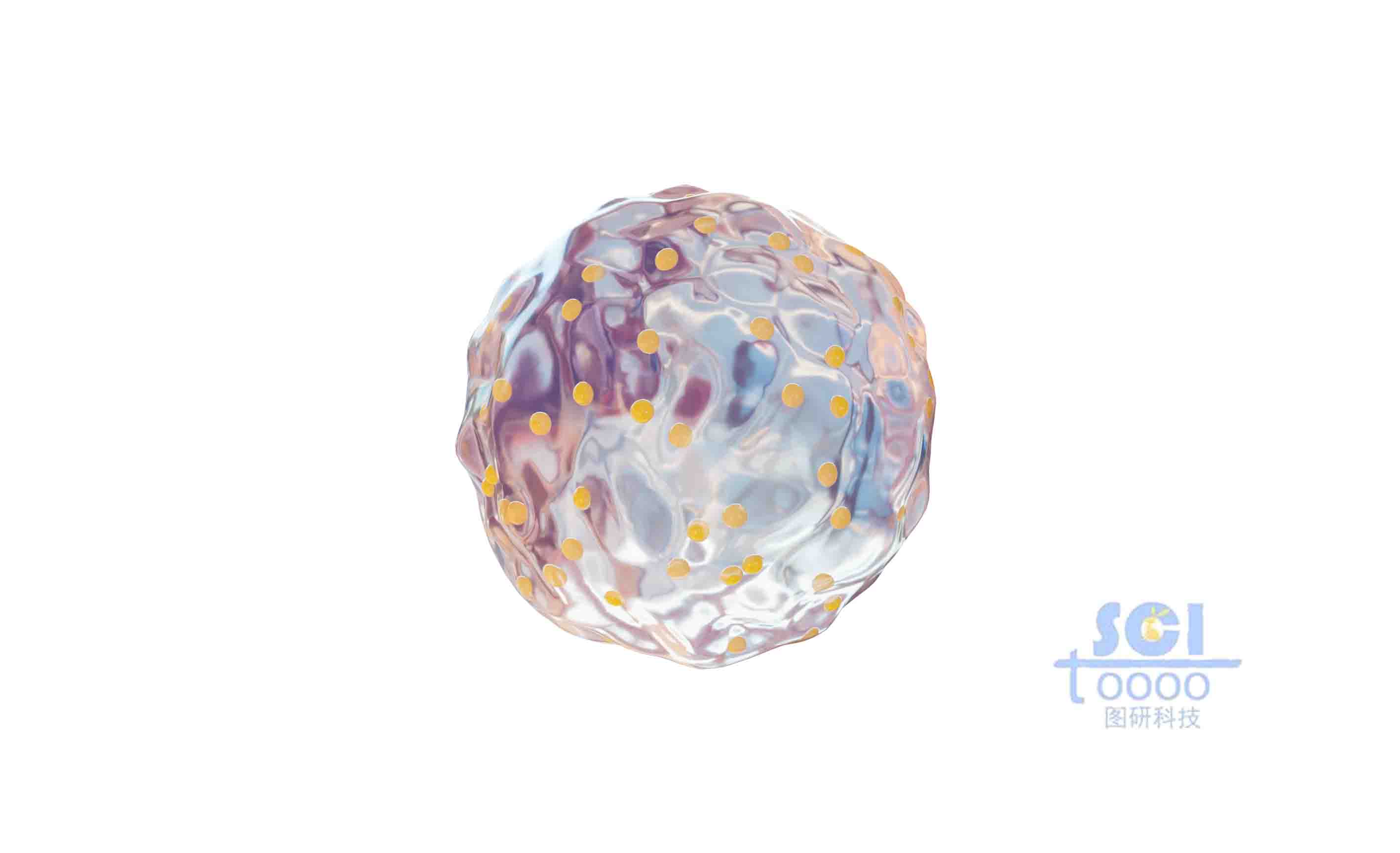 表面負載小球的細胞