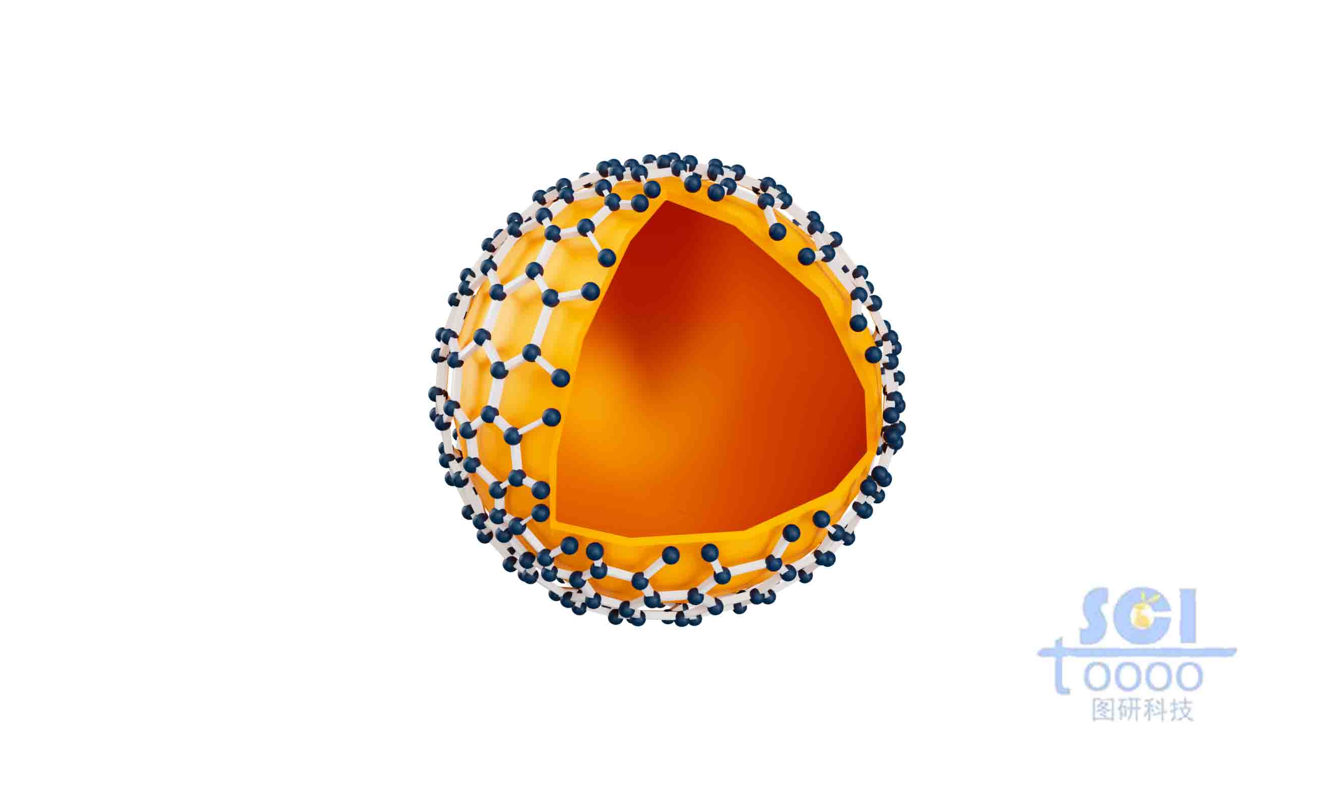 石墨烯包裹的帶八分之一切面球