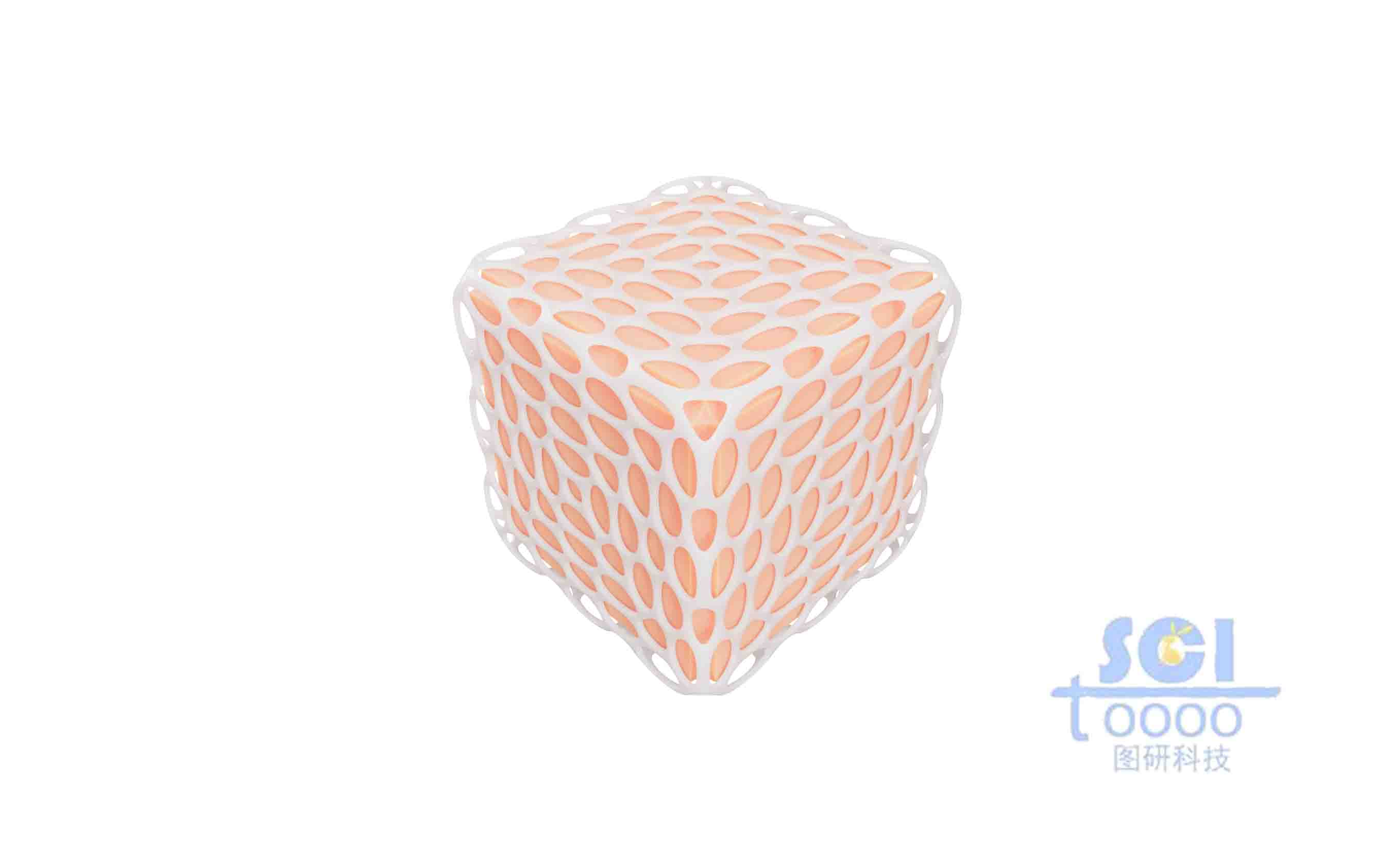 鏤空包裹的立方體
