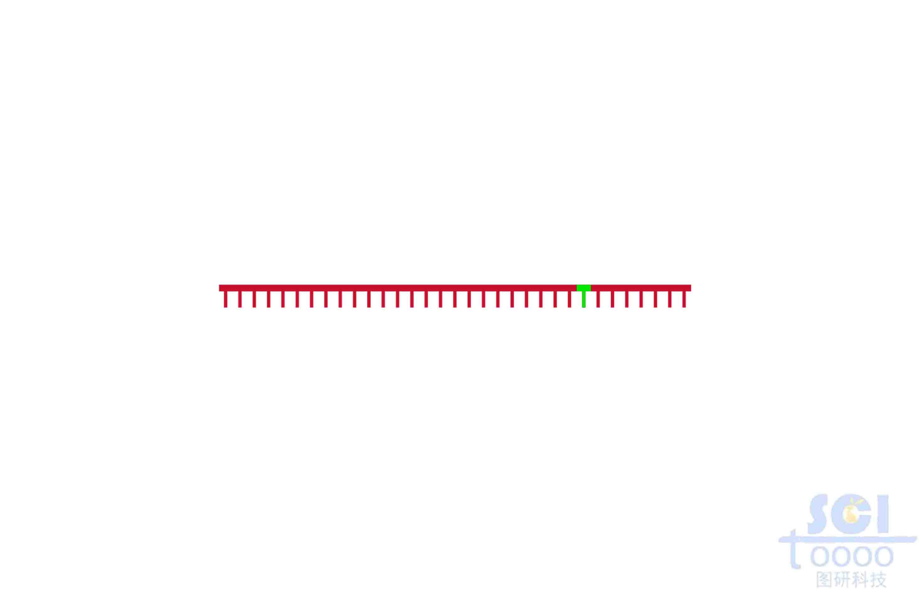 DNA（點(diǎn)突變）