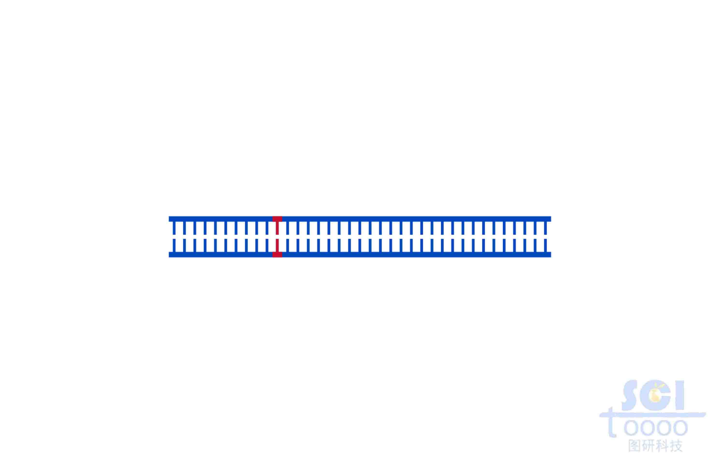 DNA（含點(diǎn)突變）