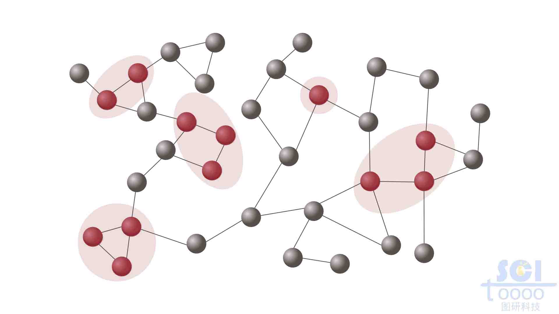 節(jié)點(diǎn)網(wǎng)